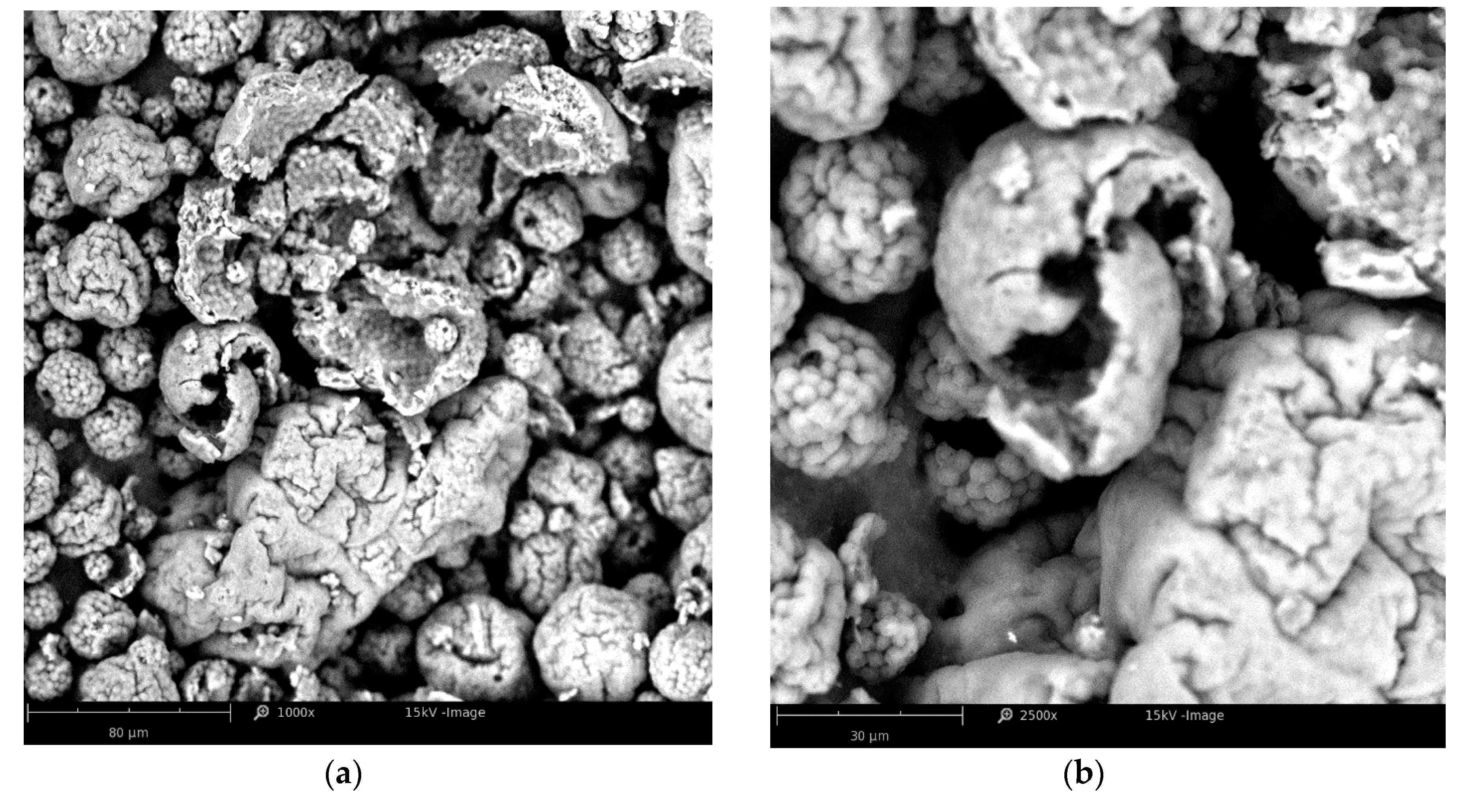 Applsci 10 06103 g0a3