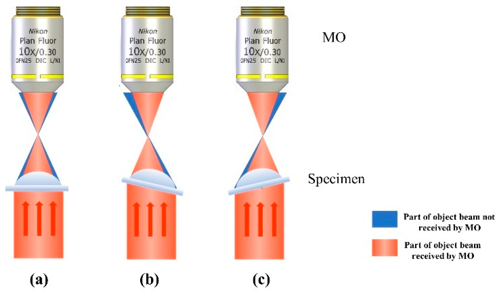 Applsci 10 06110 g002