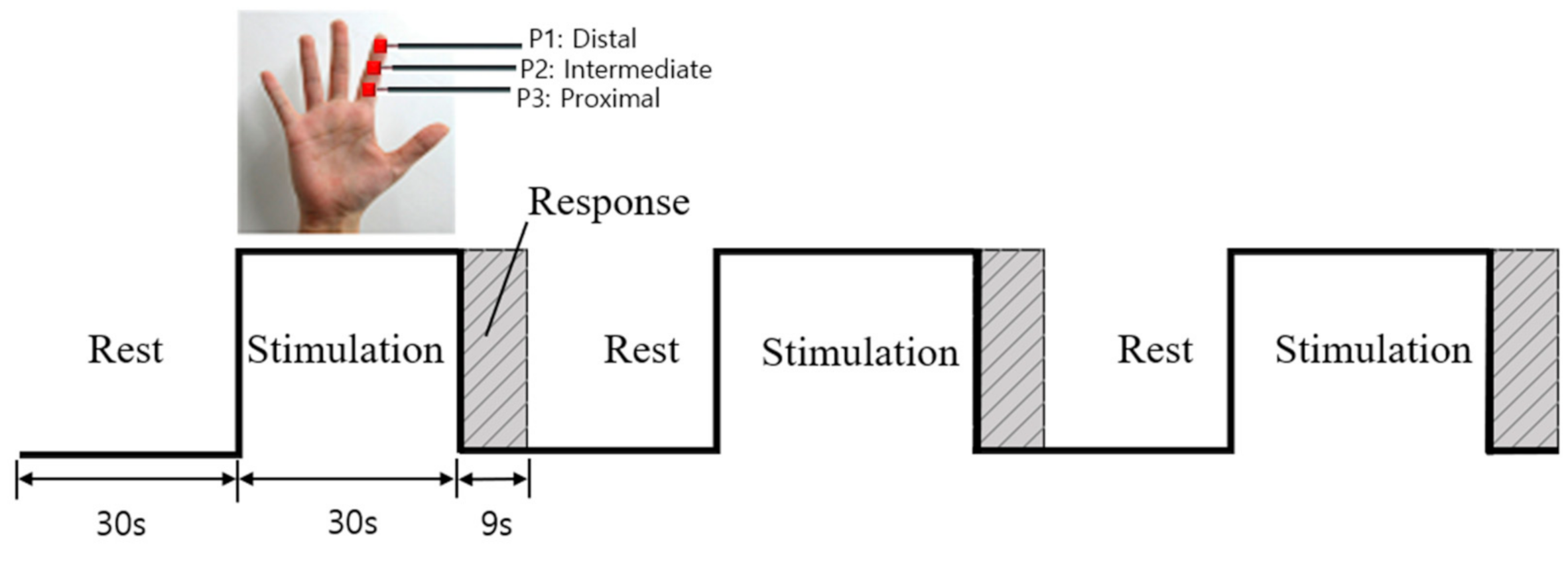 Applsci 10 06142 g002 Applsci 10 06142 g002