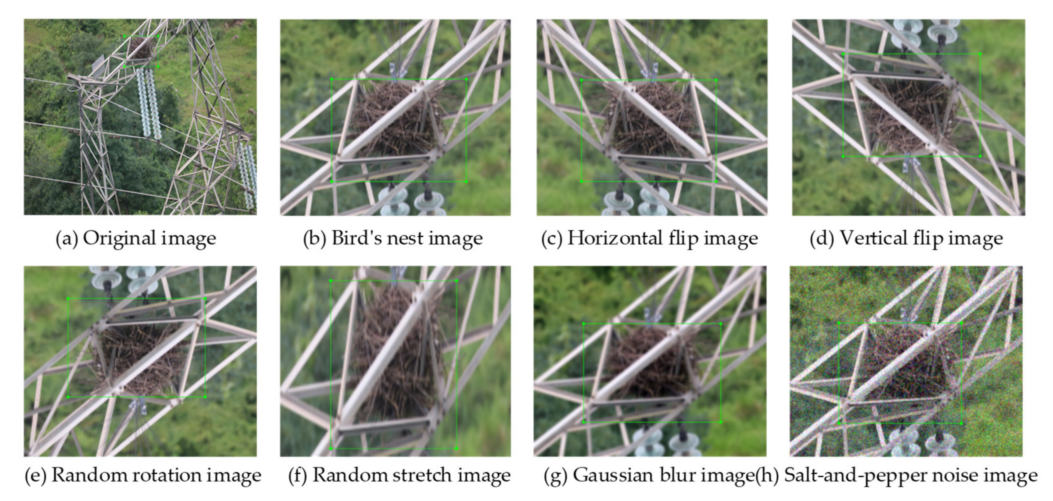 Applsci 10 06147 g007