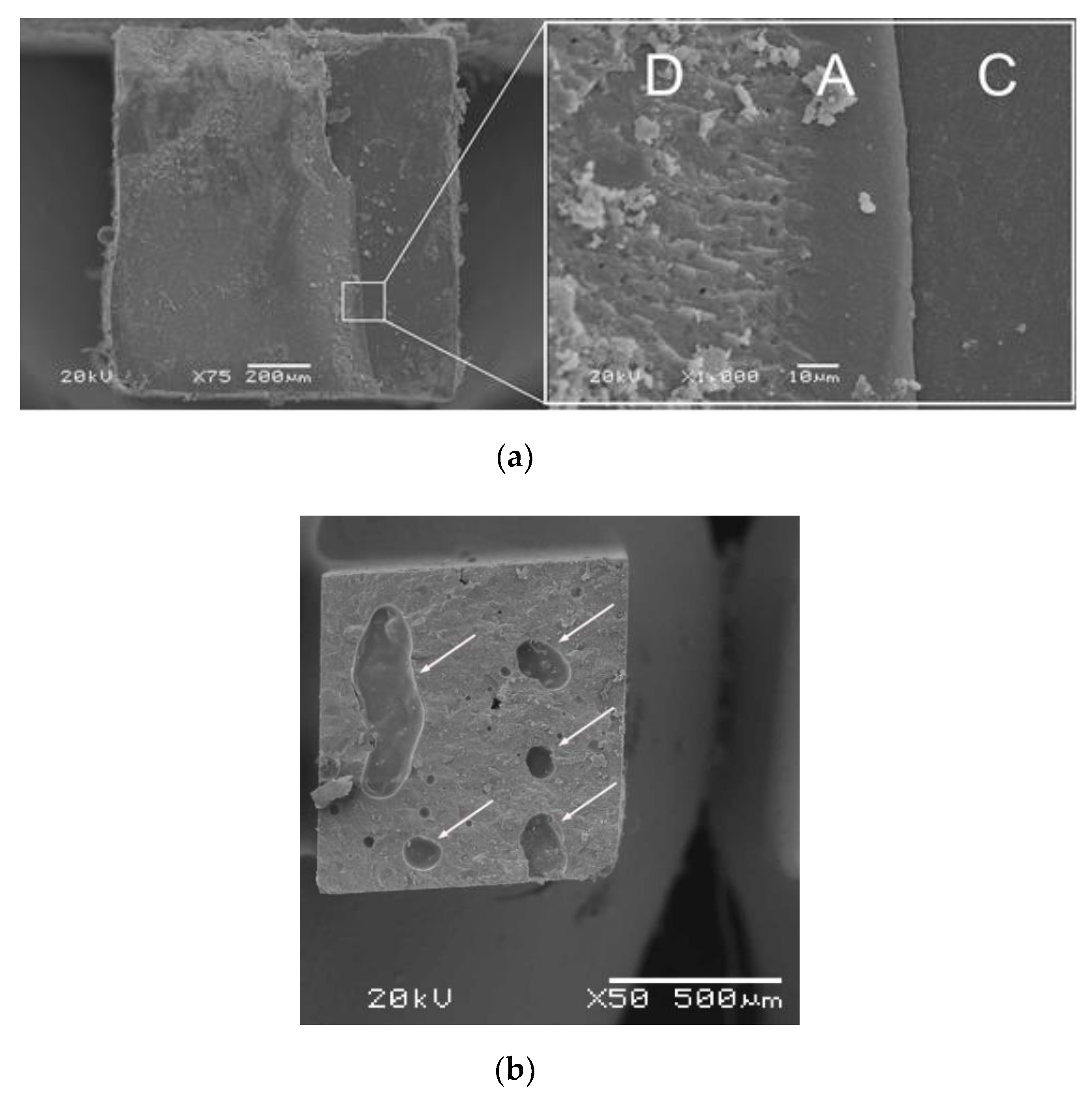 Applsci 10 06175 g003