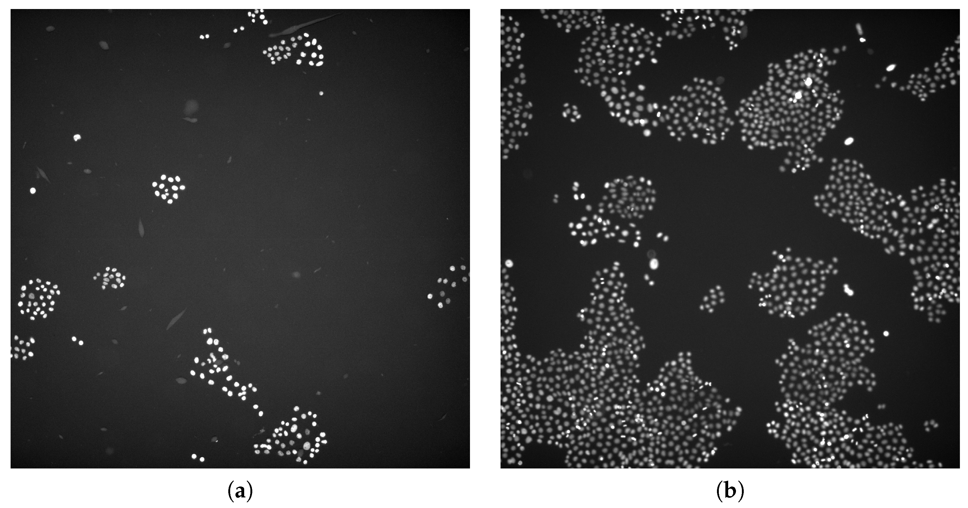 Applsci 10 06187 g001 Applsci 10 06187 g001