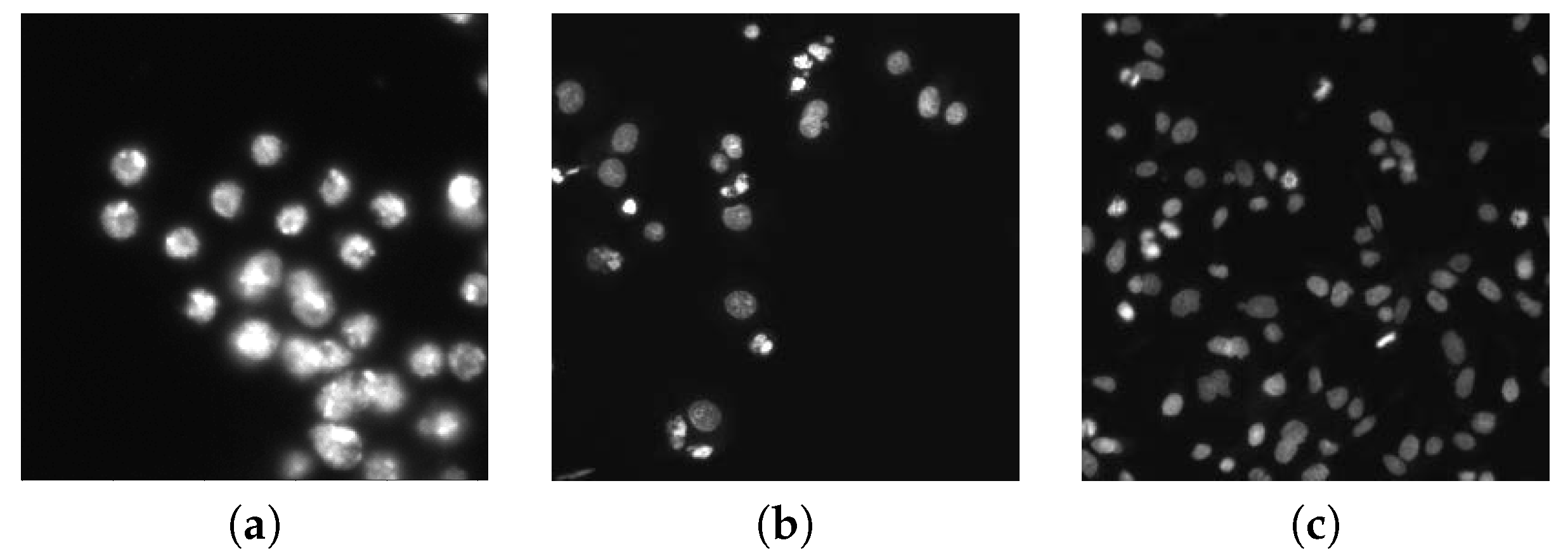 Applsci 10 06187 g002 Applsci 10 06187 g002