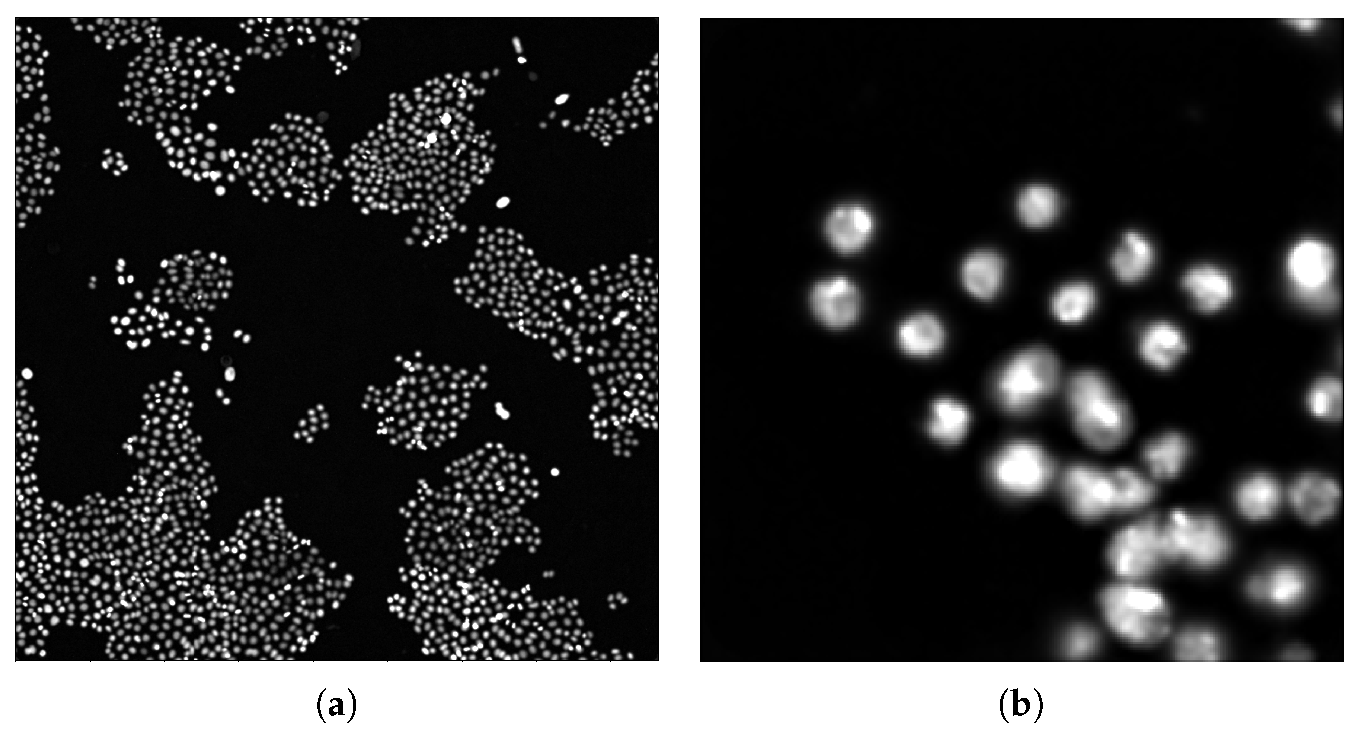 Applsci 10 06187 g005 Applsci 10 06187 g005