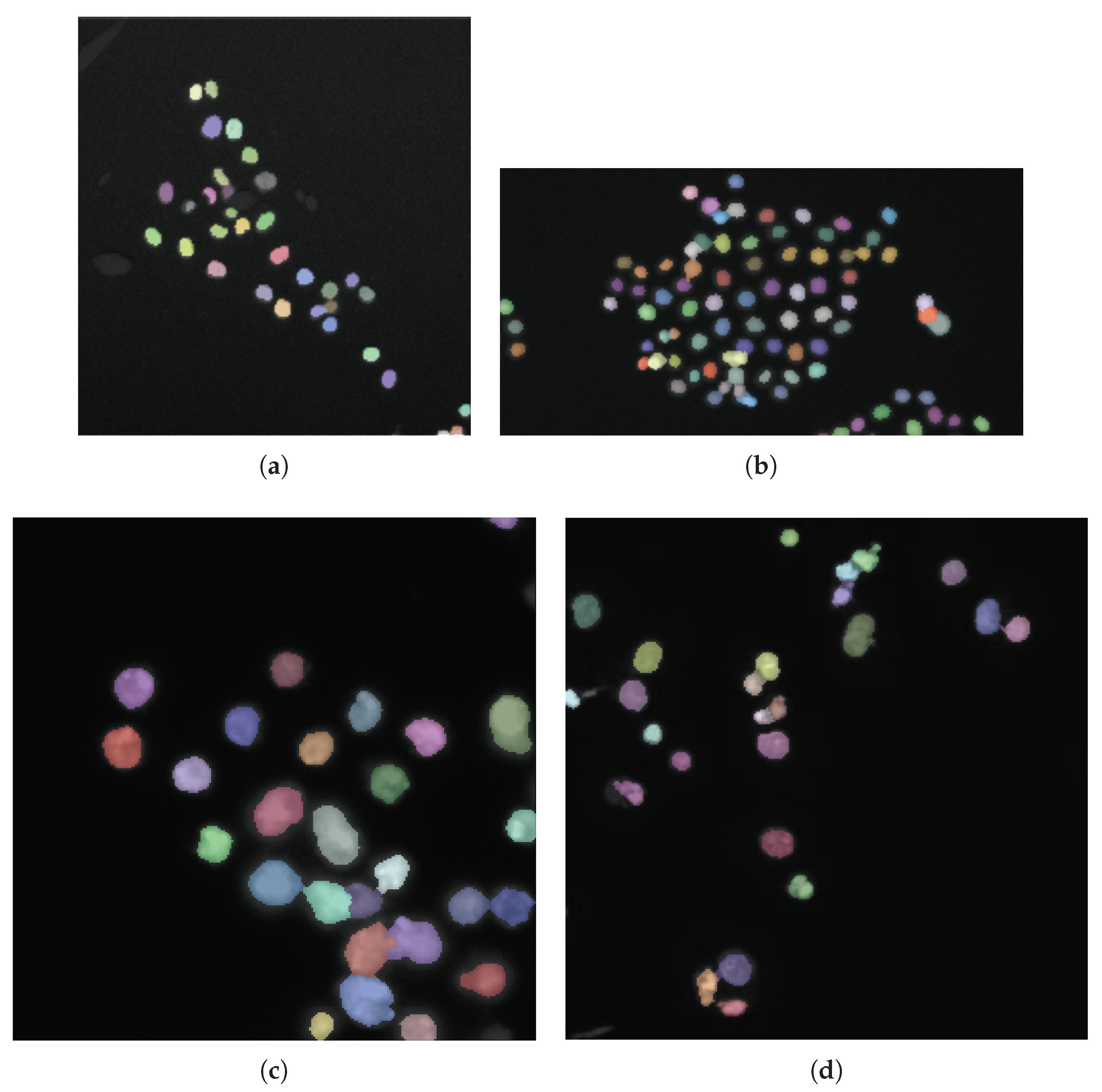 Applsci 10 06187 g007 Applsci 10 06187 g007