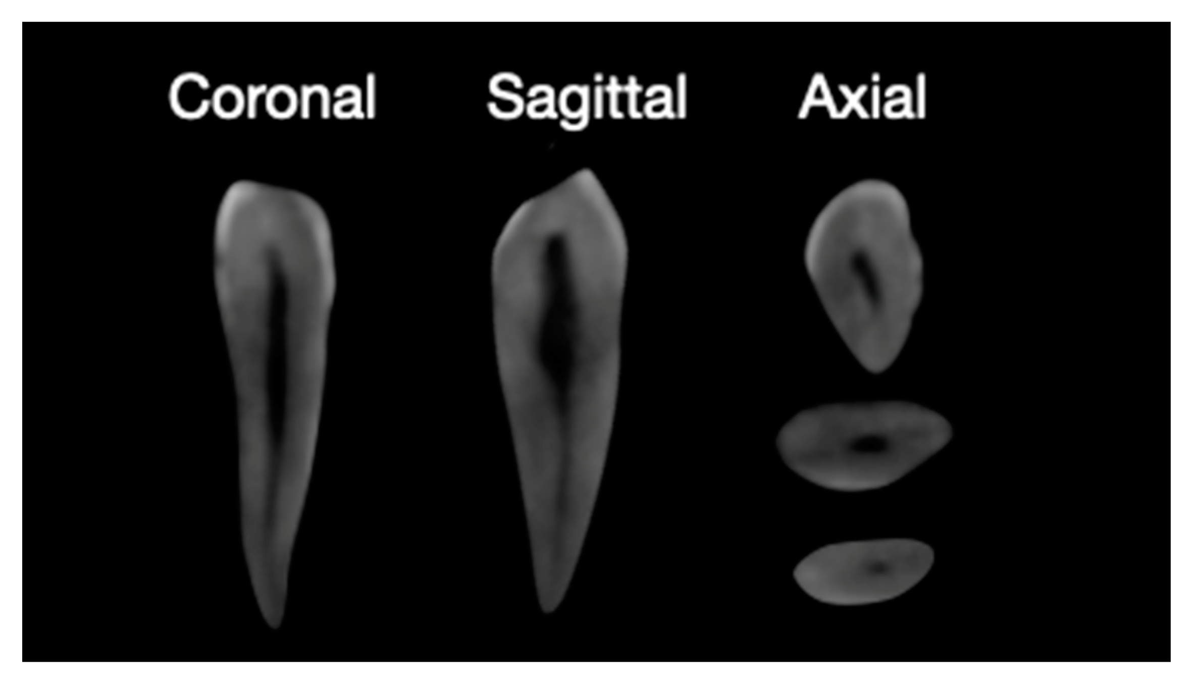Applsci 10 06201 g001