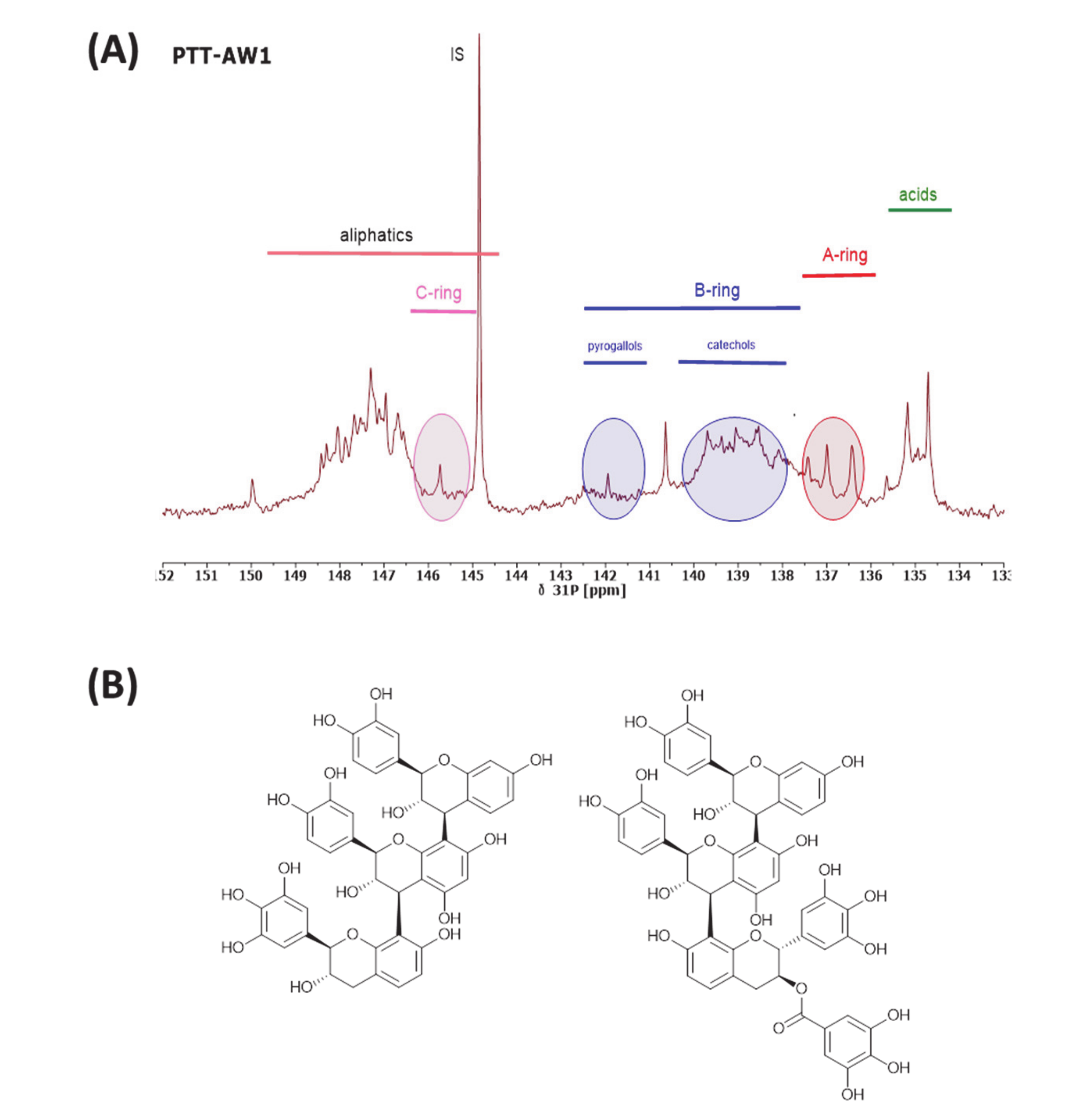 Applsci 10 06213 g001