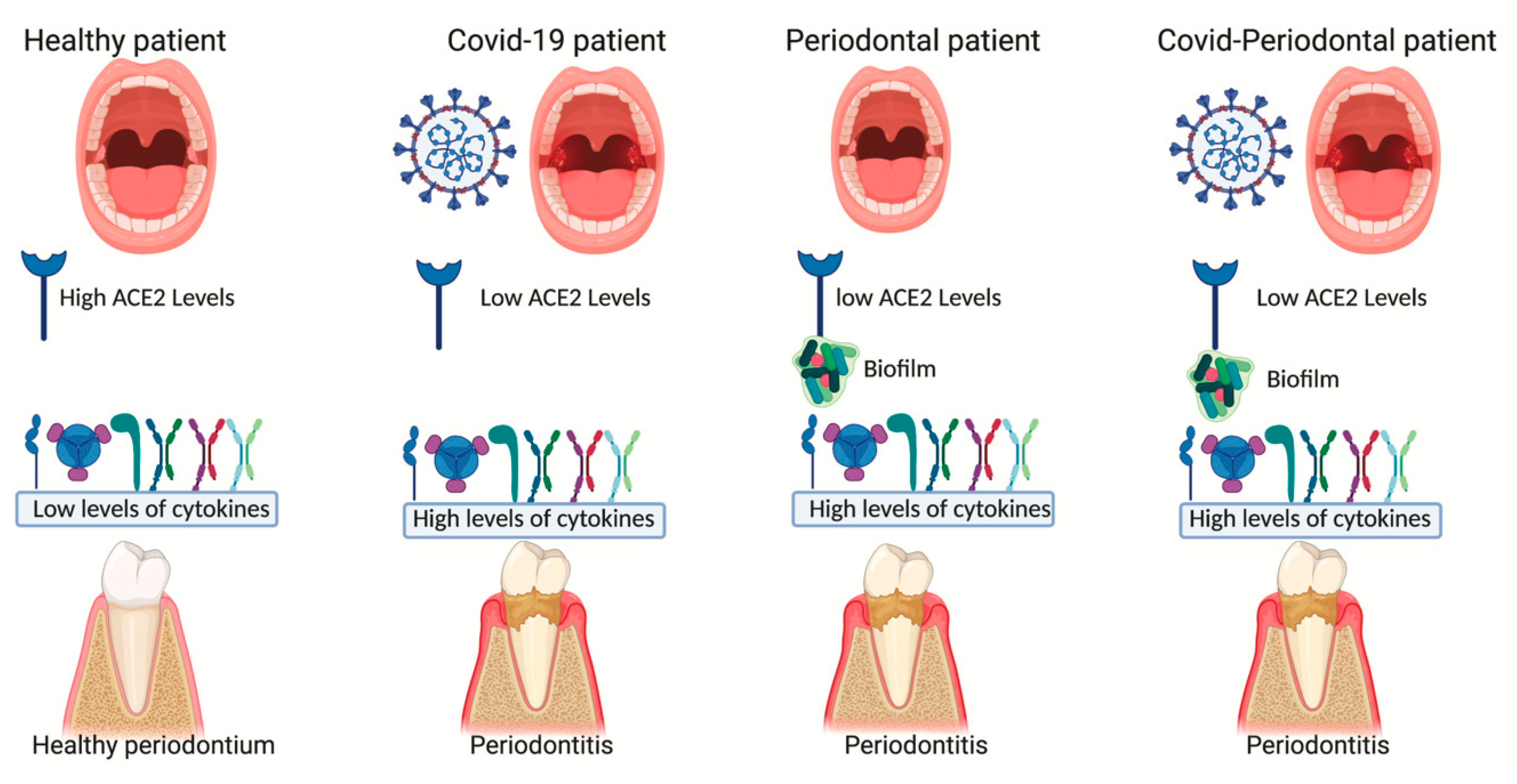 Applsci 10 06224 g002