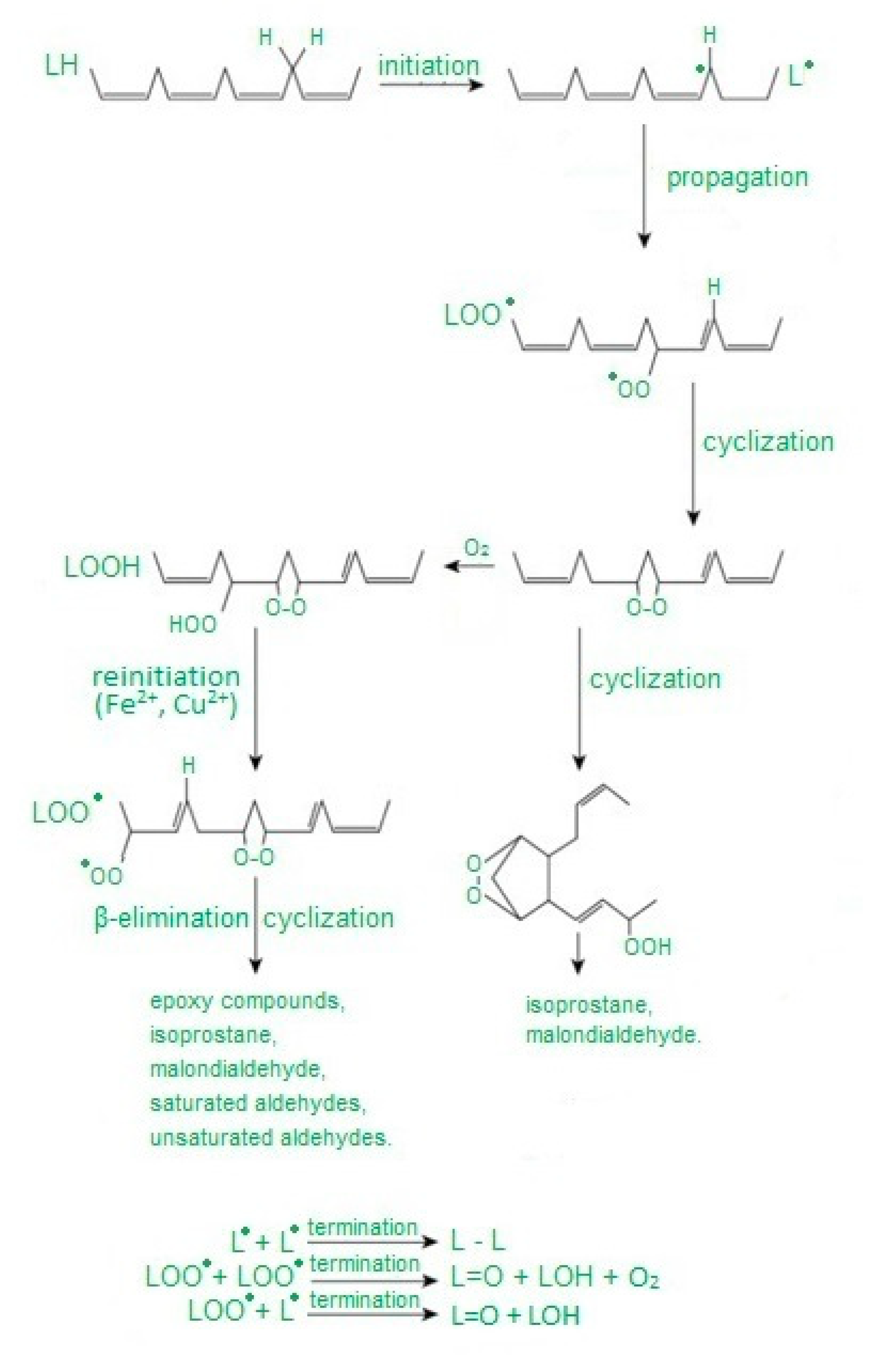 Applsci 10 06240 g001