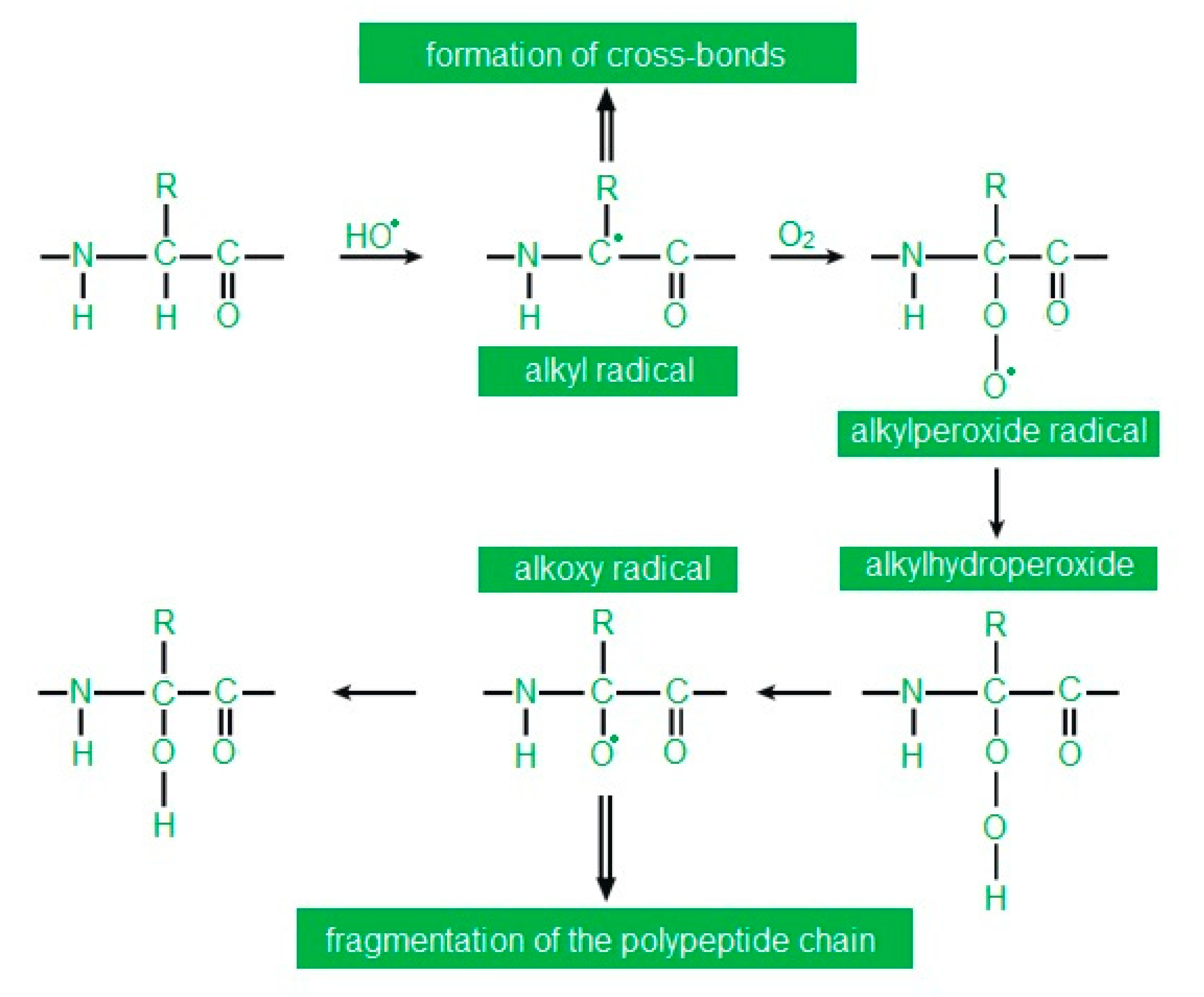 Applsci 10 06240 g003