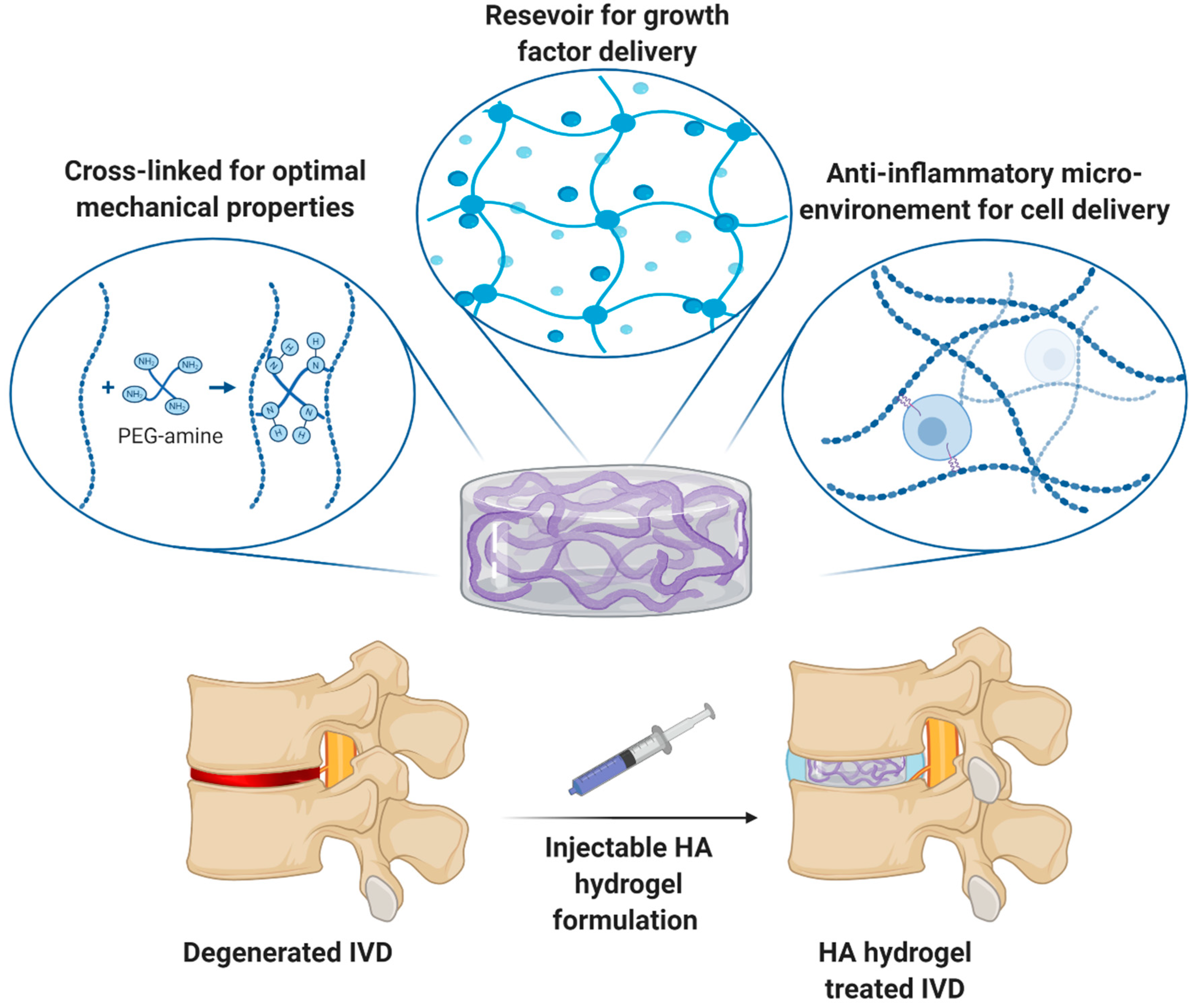 Applsci 10 06257 g001