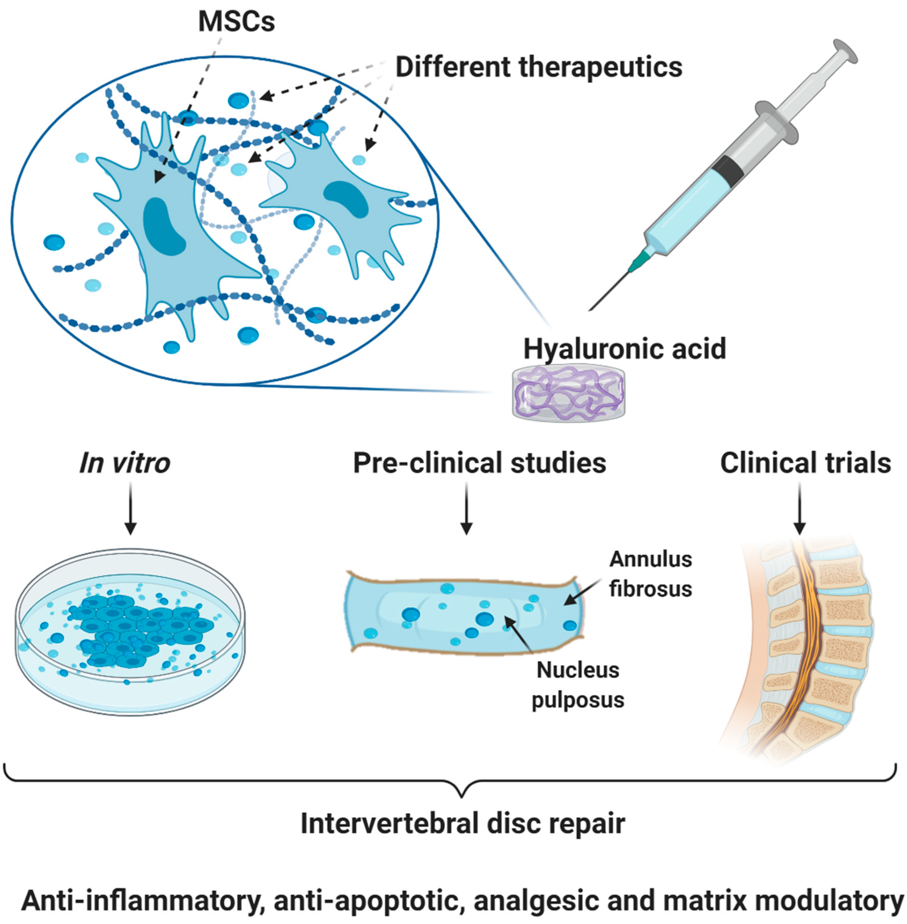 Applsci 10 06257 g002