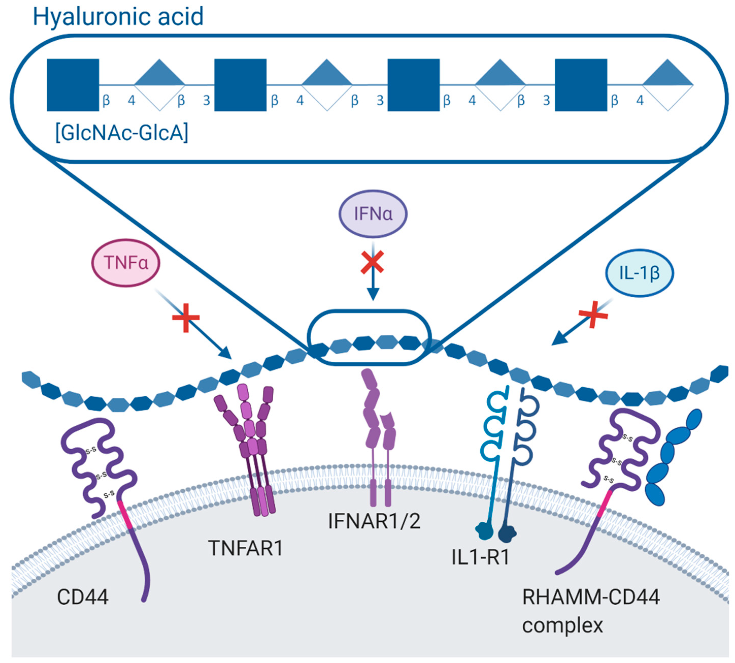 Applsci 10 06257 g003