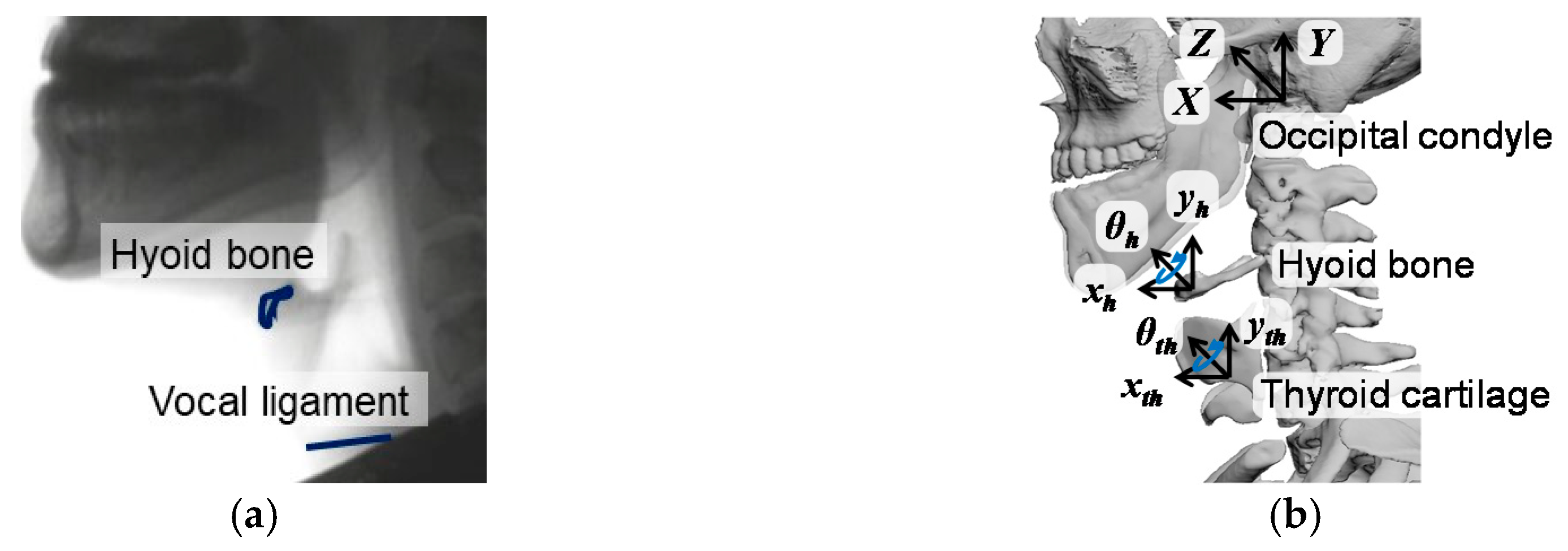 Applsci 10 06276 g001