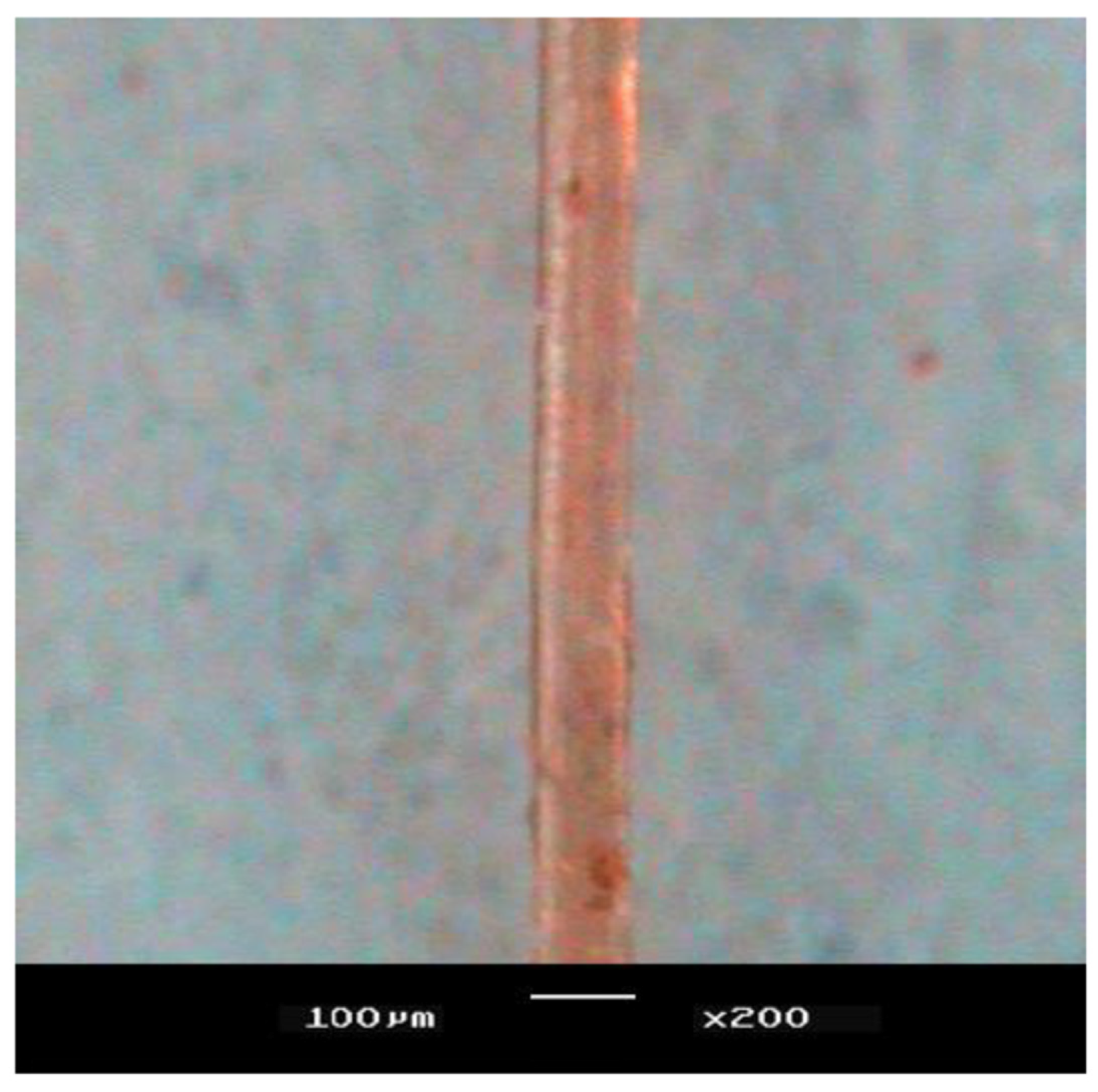 Applsci 10 06305 g001