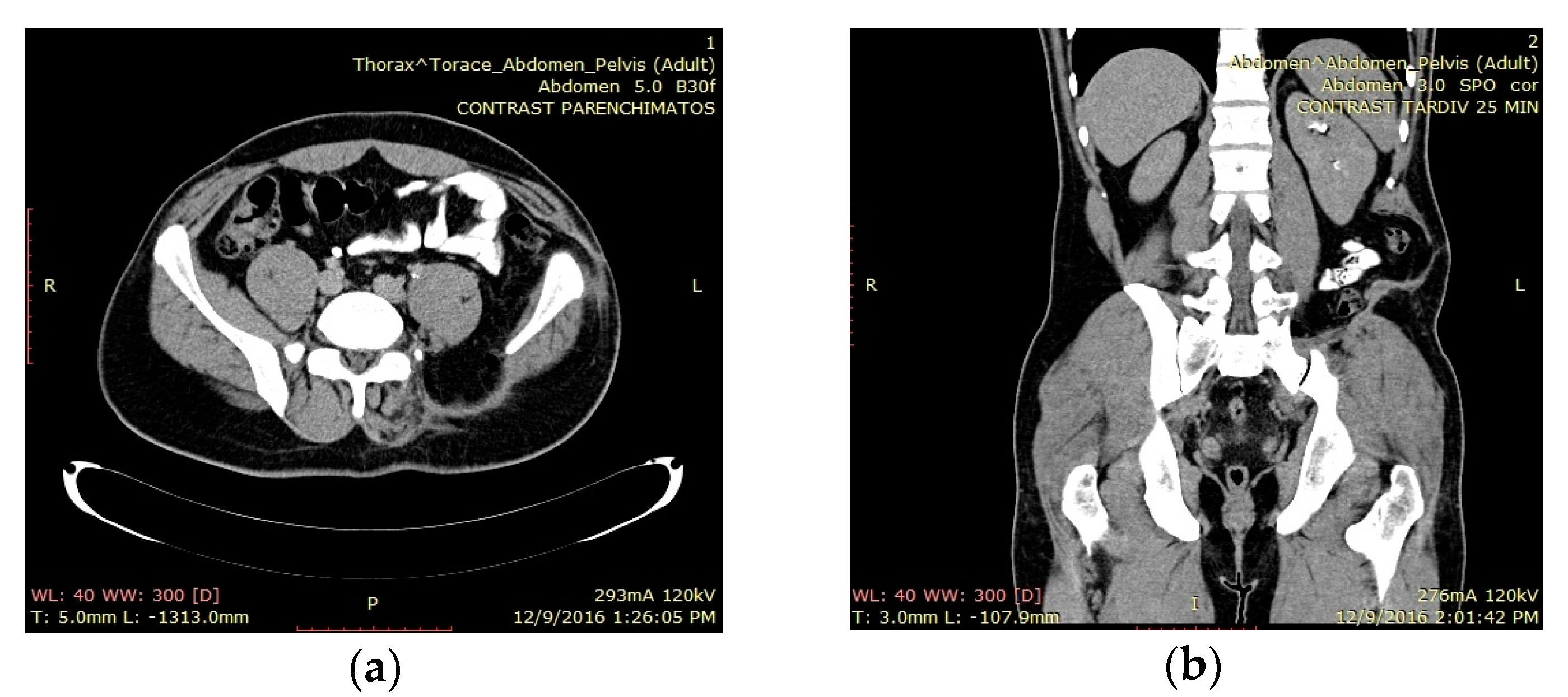 Applsci 10 06310 g005 Applsci 10 06310 g005