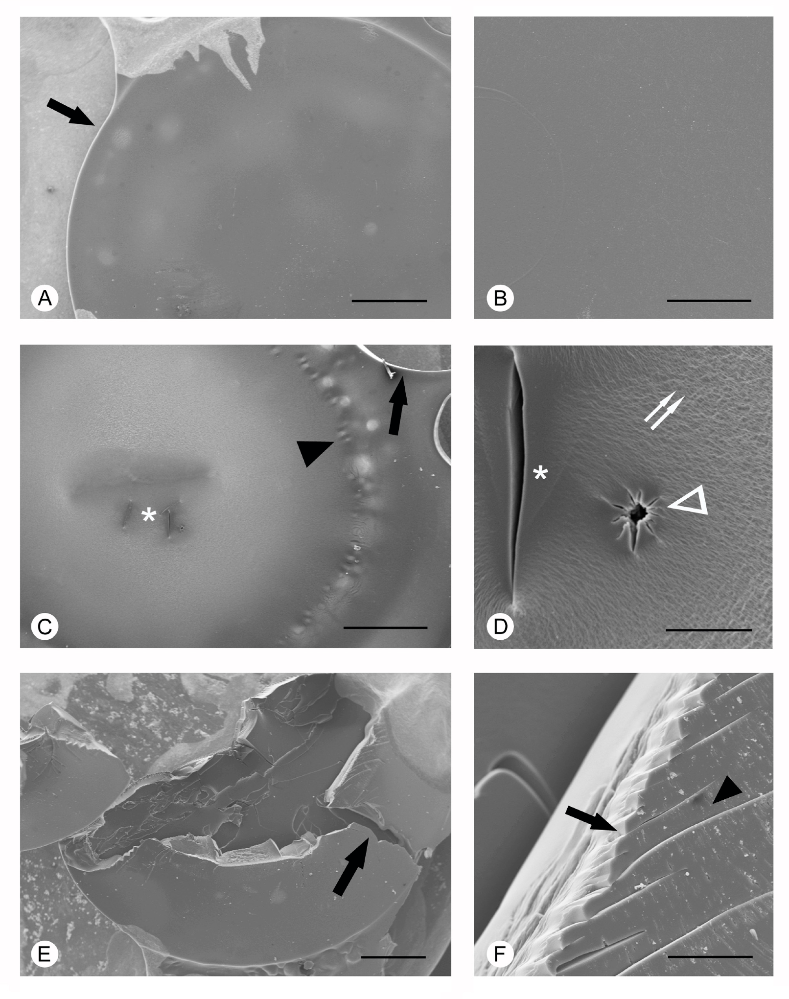 Applsci 10 06321 g002