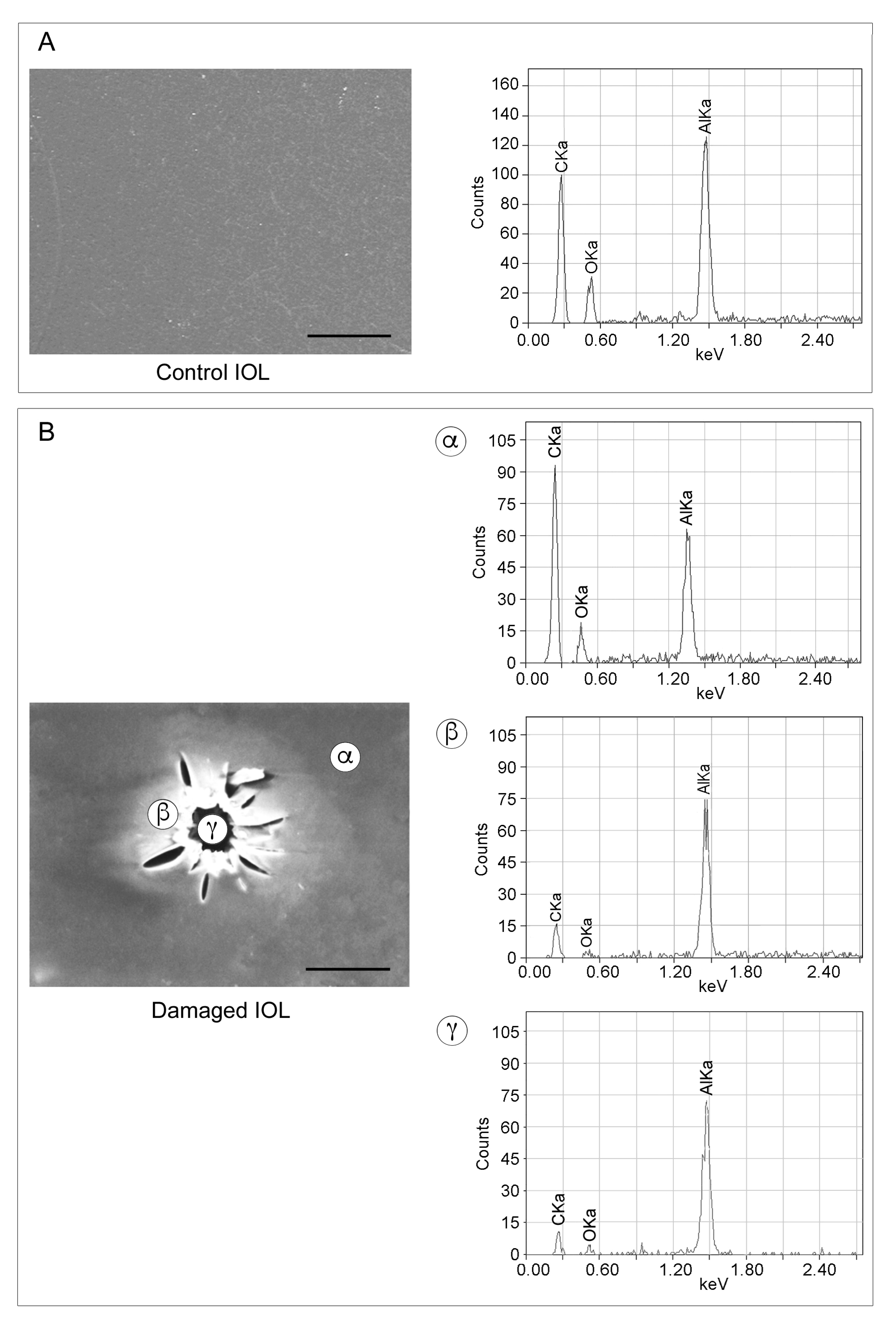 Applsci 10 06321 g003