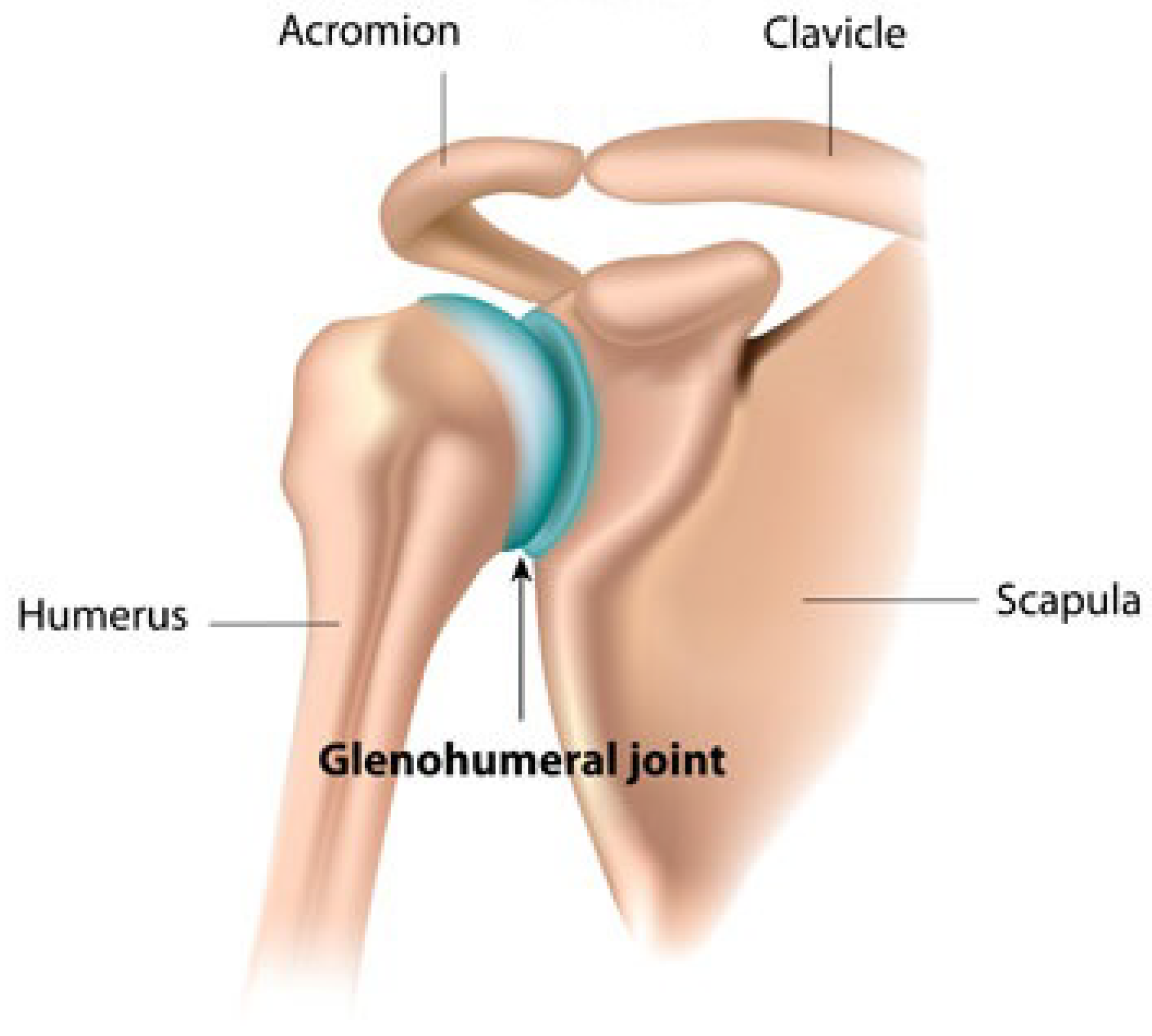 Applsci 10 06336 g001