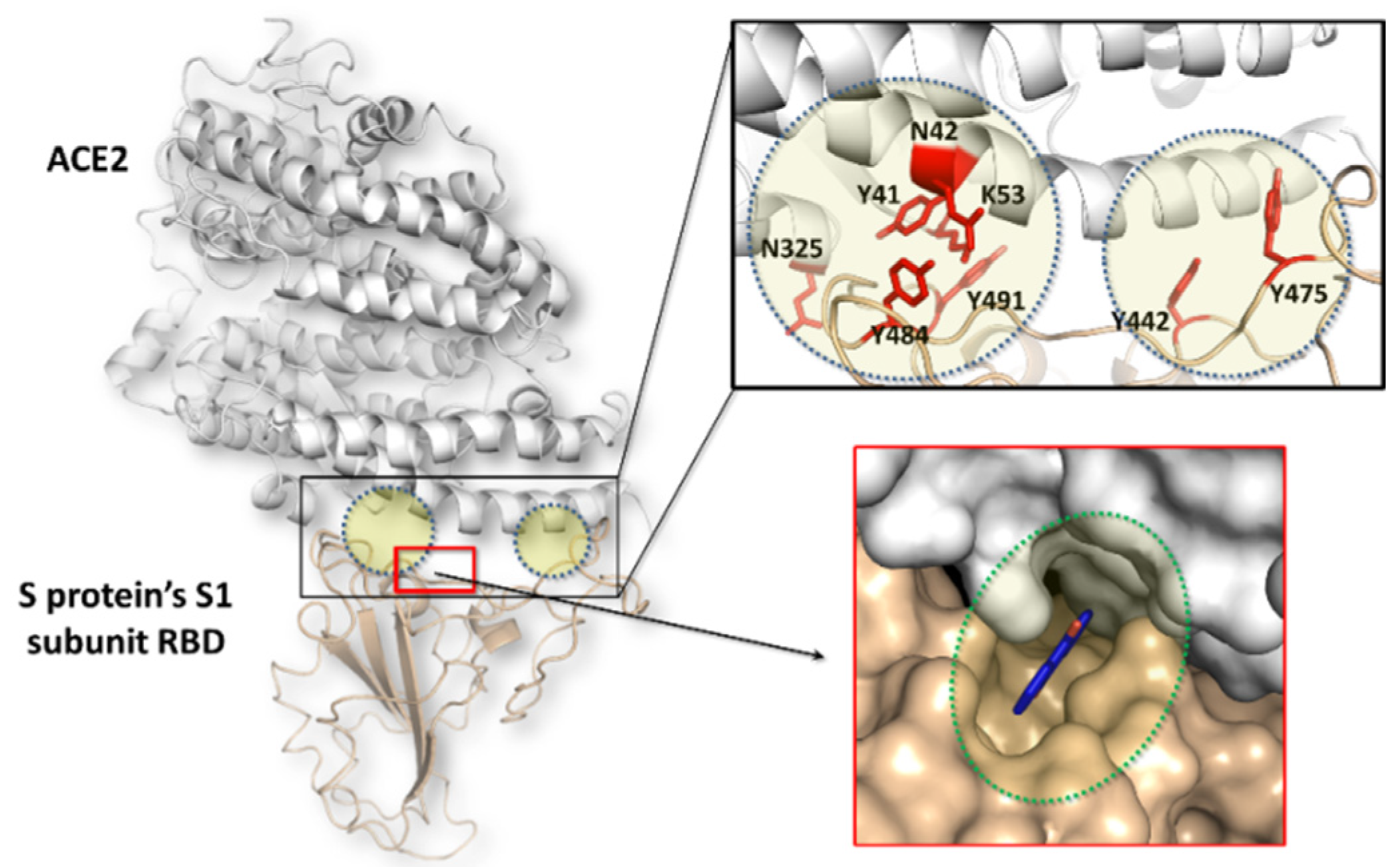 Applsci 10 06358 g002