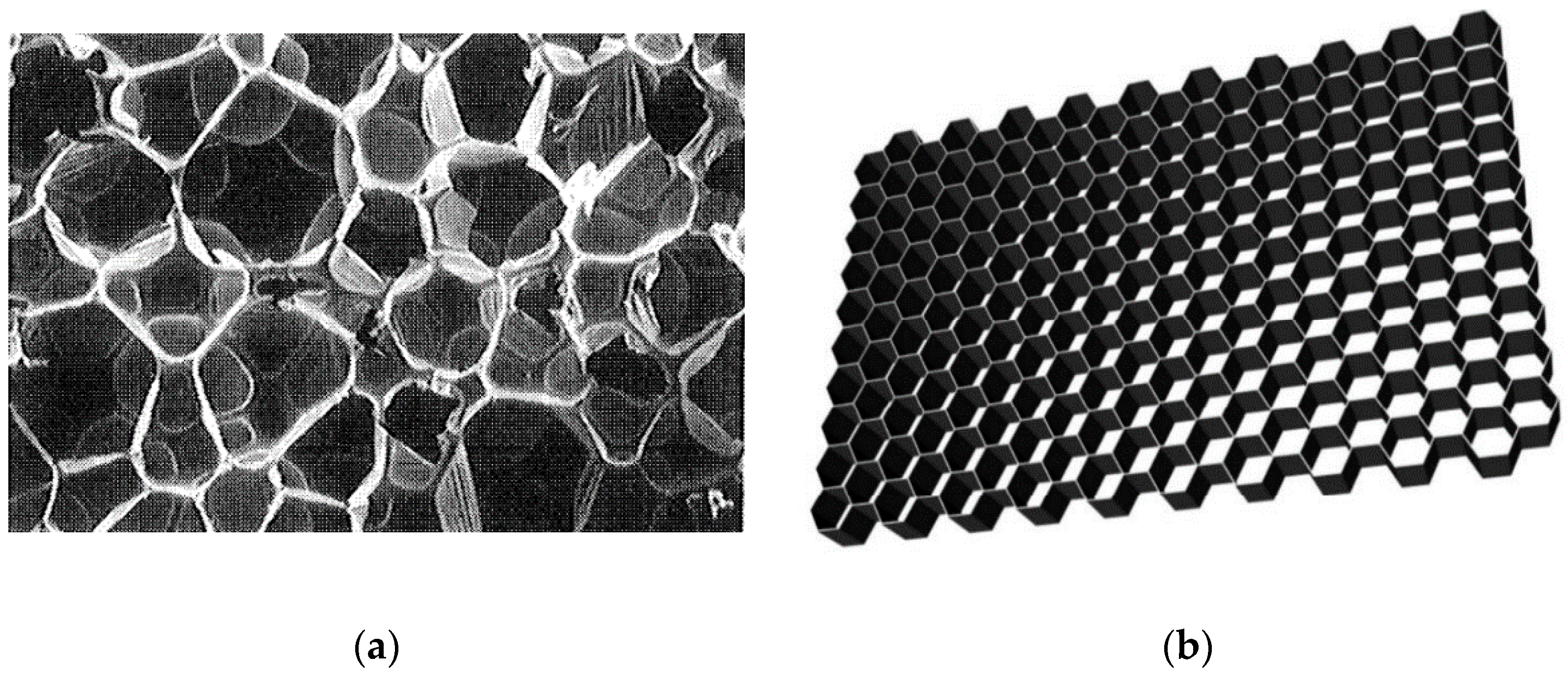 Applsci 10 06374 g001a