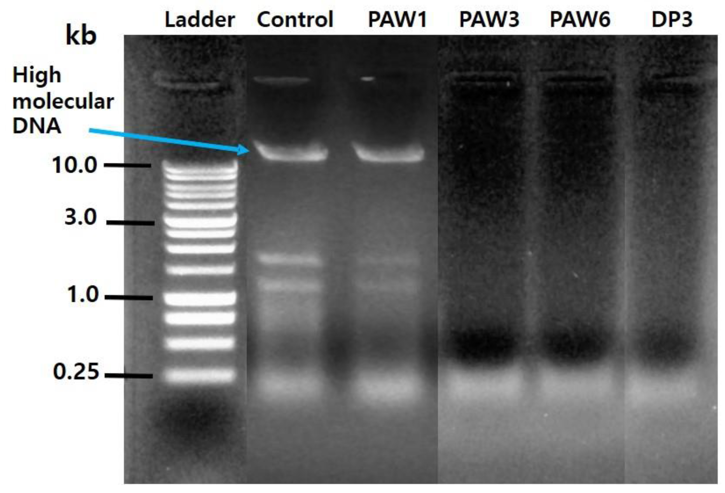 Applsci 10 06378 g008 Applsci 10 06378 g008