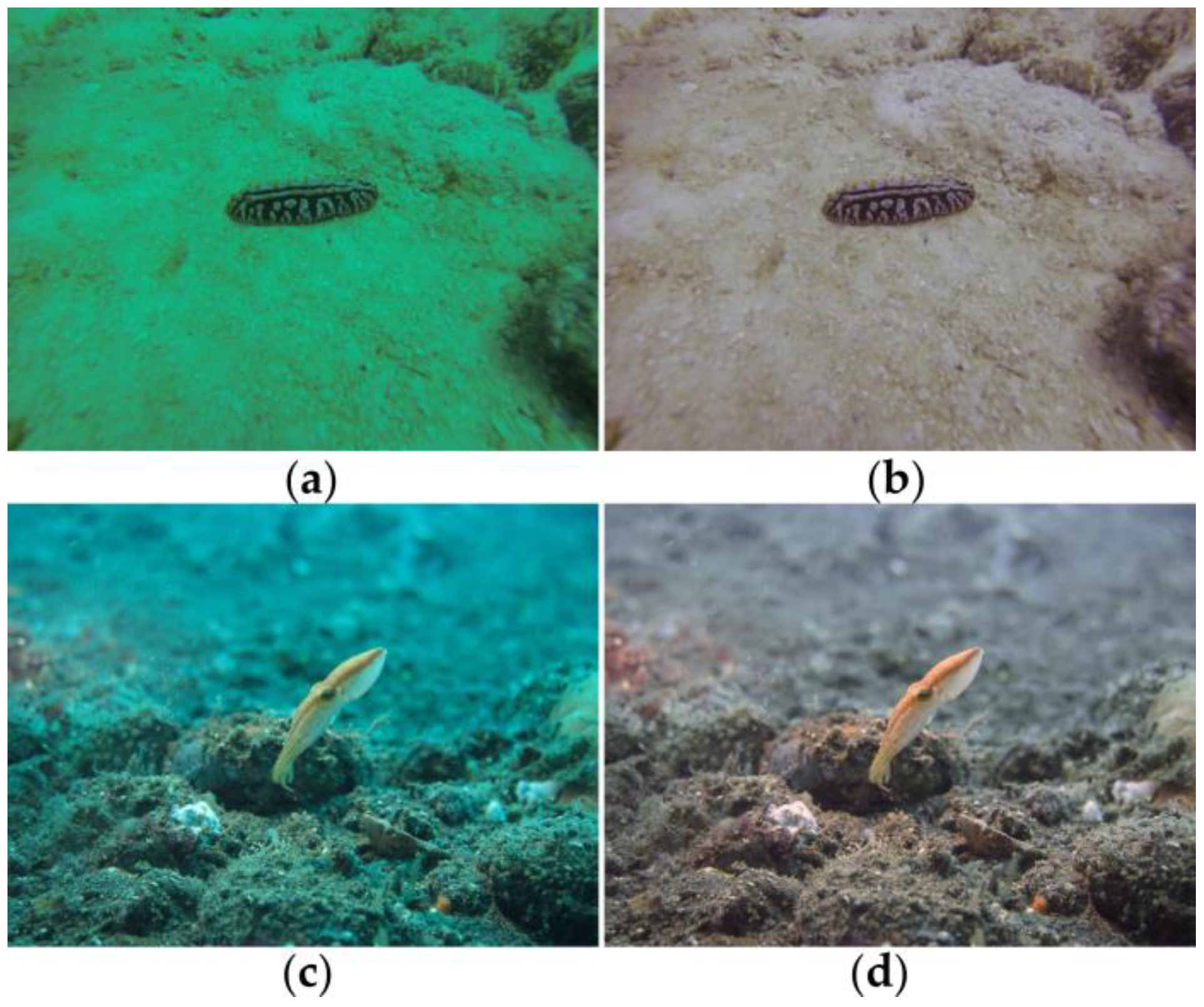 Applsci 10 06392 g001 Applsci 10 06392 g001