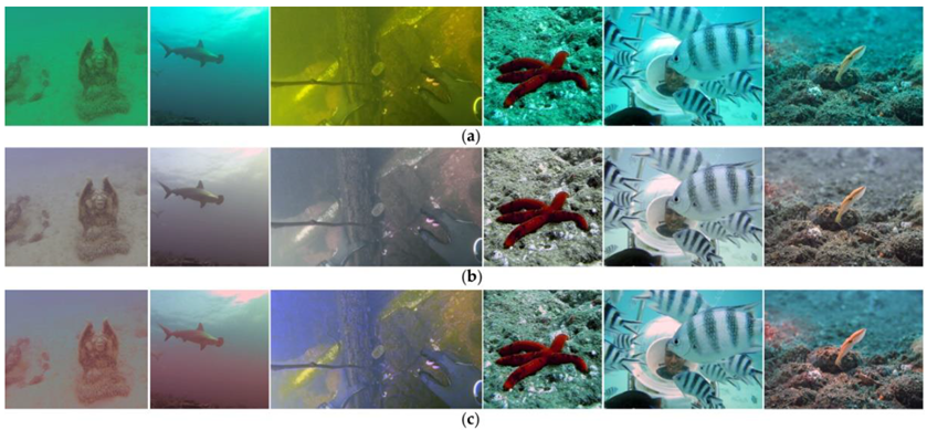 Applsci 10 06392 g015 Applsci 10 06392 g015