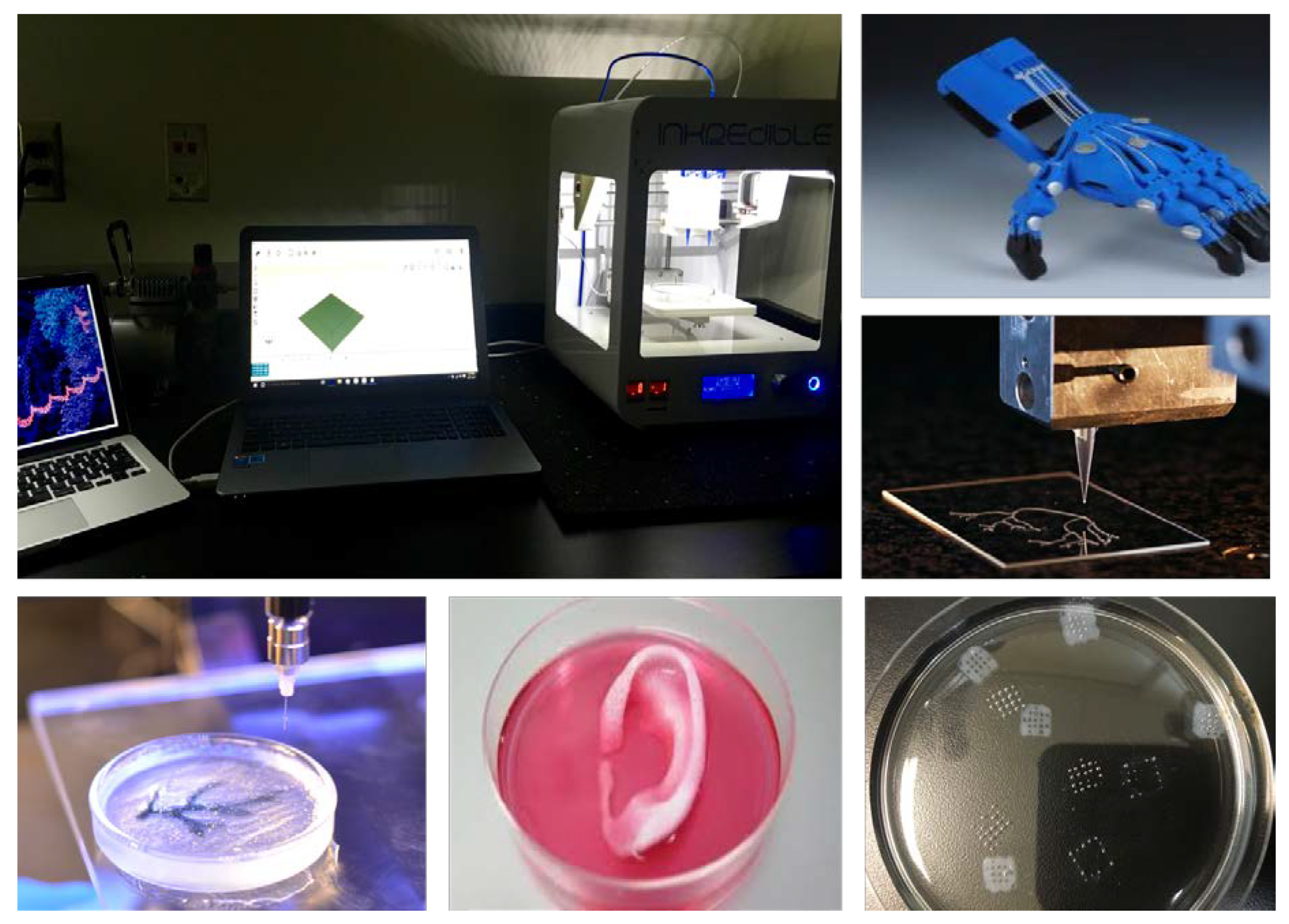 Applsci 10 06400 g004