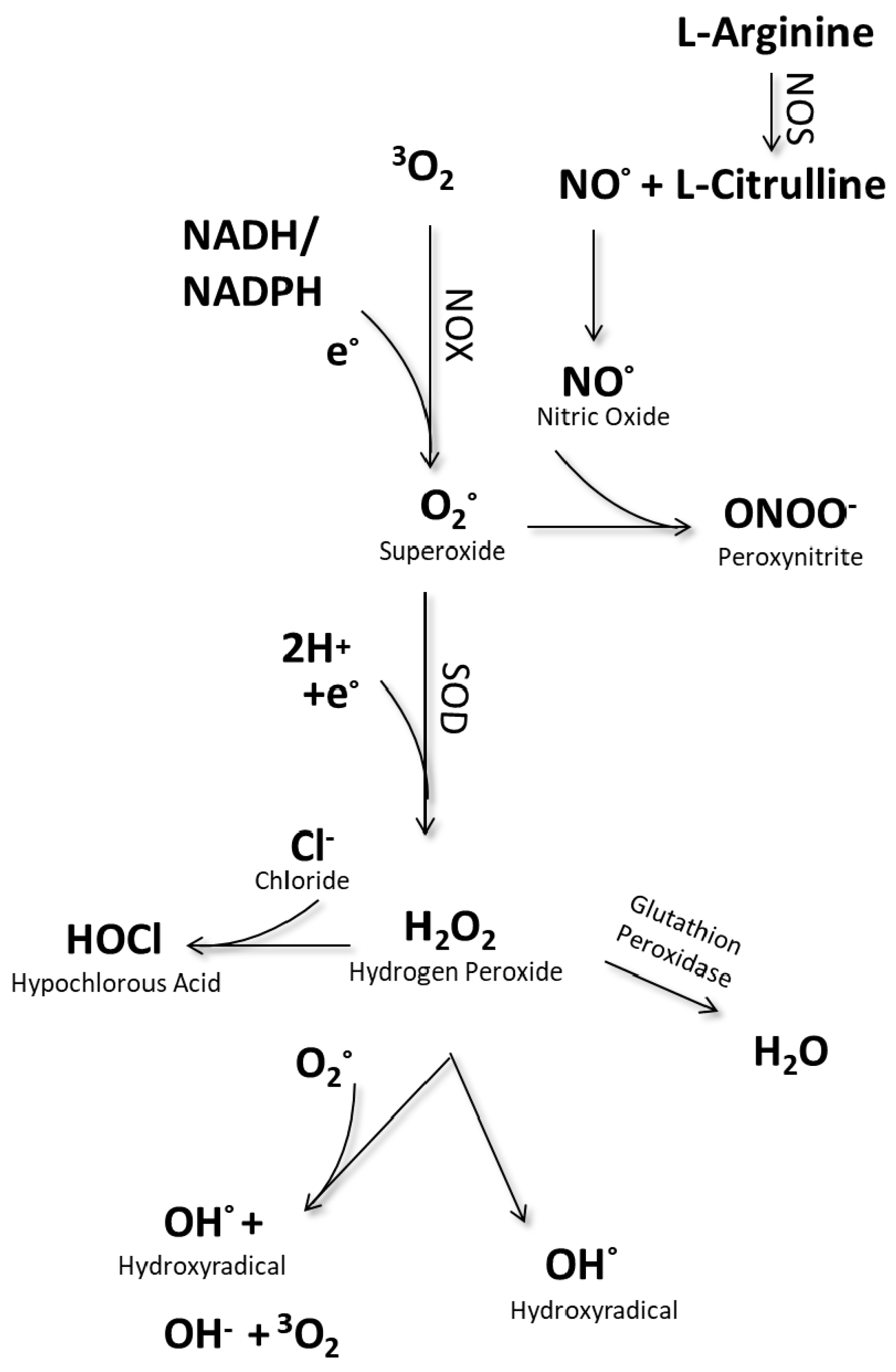 Applsci 10 06419 g001