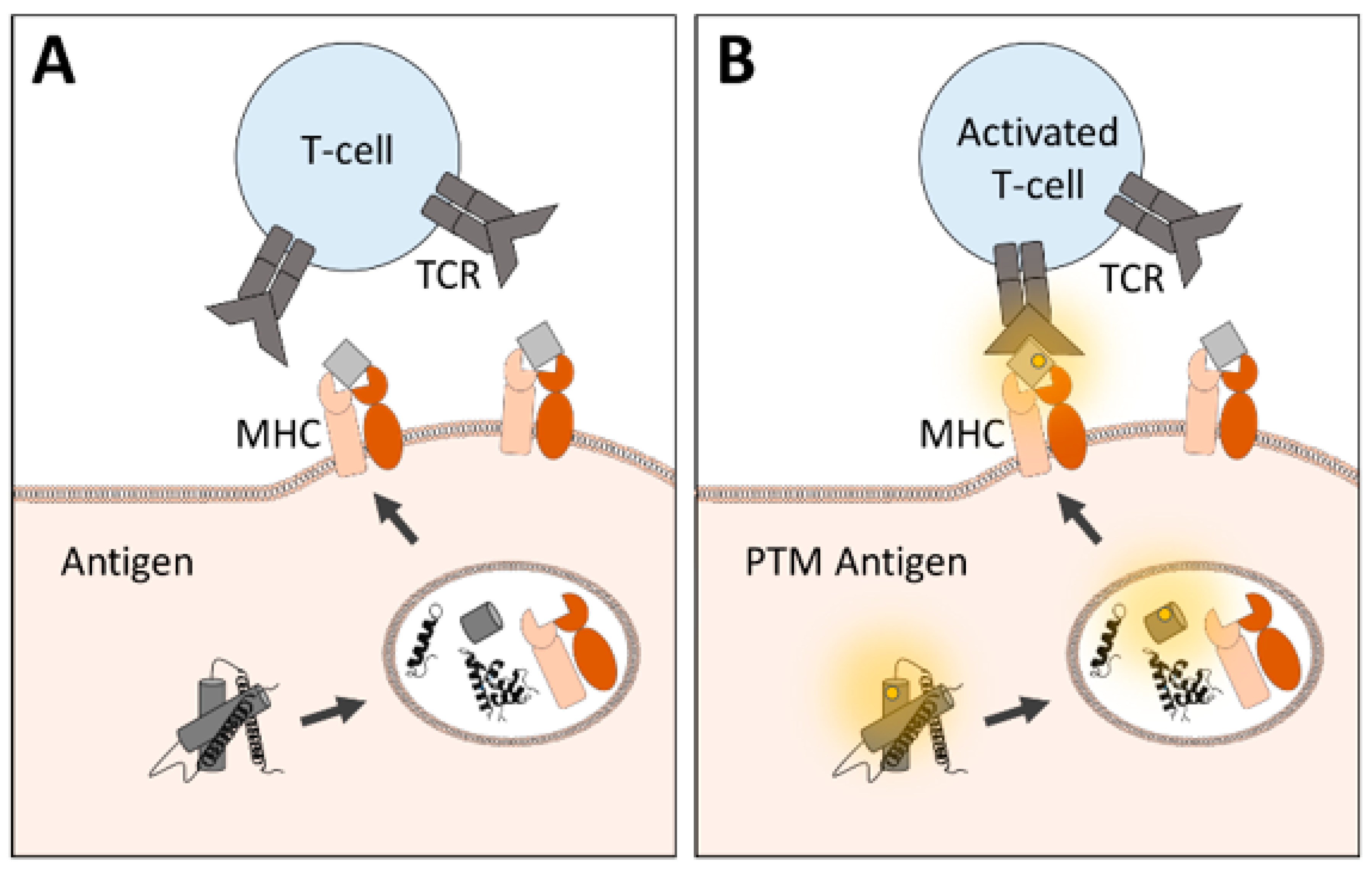 Applsci 10 06419 g002
