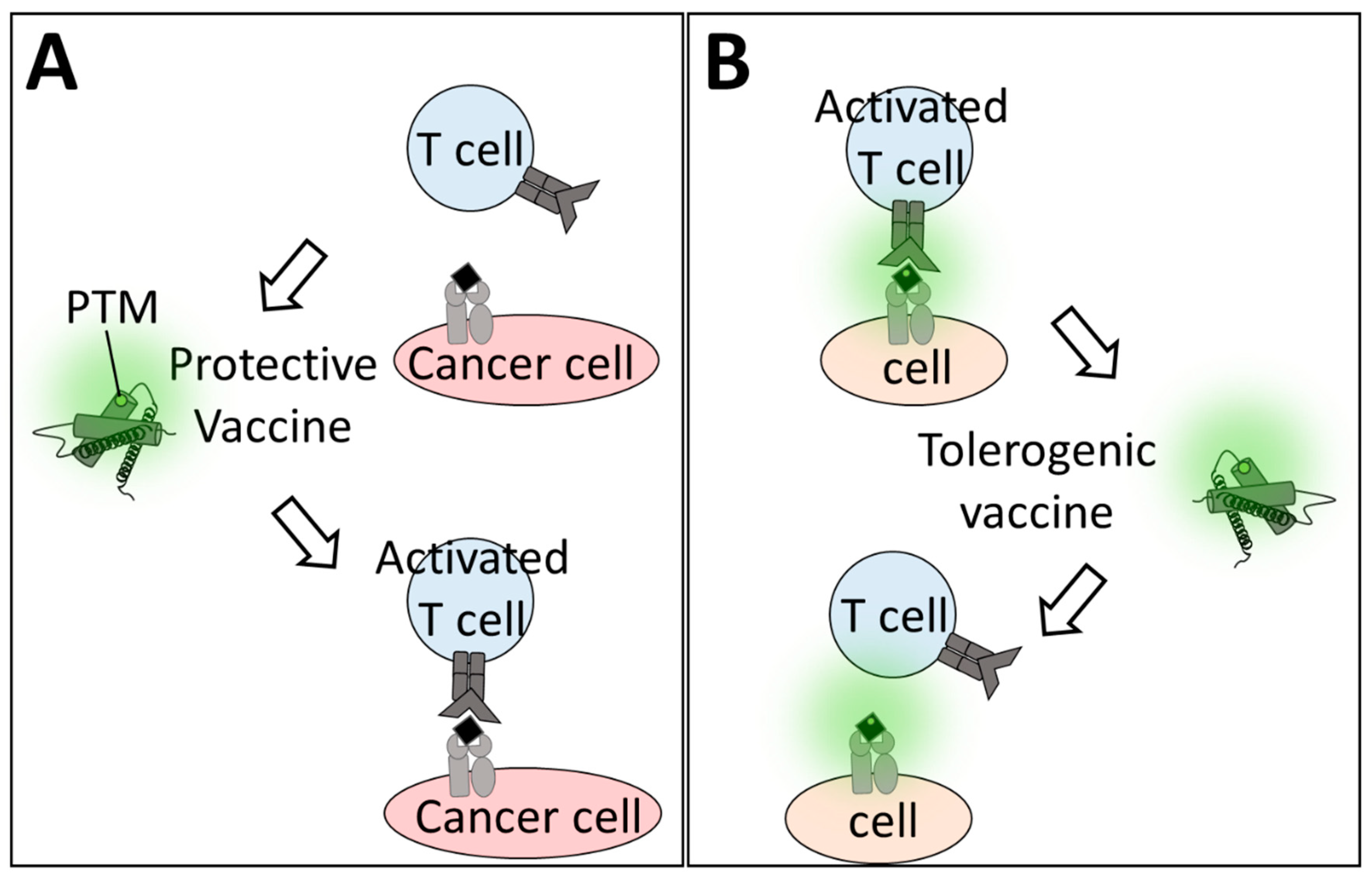 Applsci 10 06419 g003