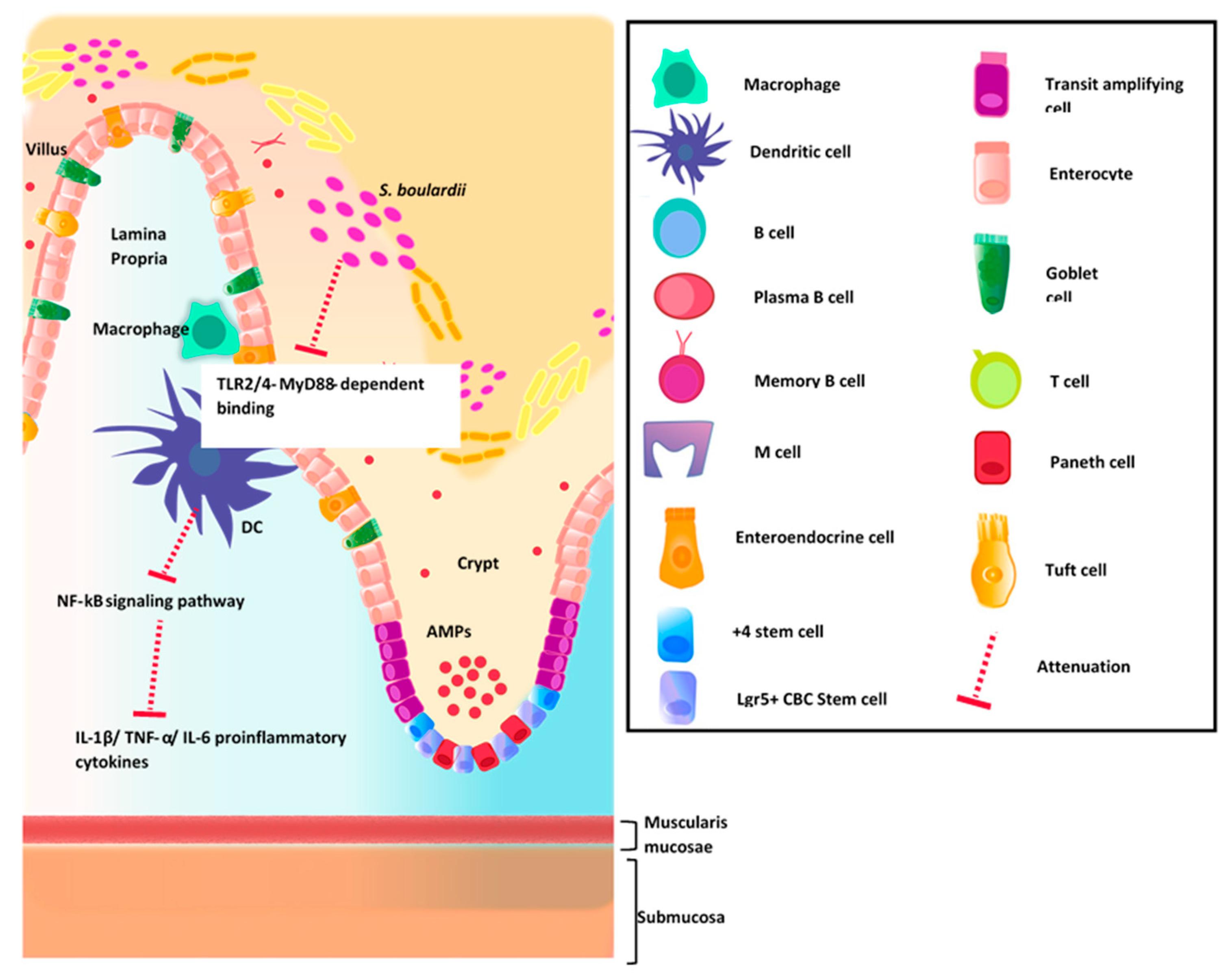 Applsci 10 06421 g001 Applsci 10 06421 g001