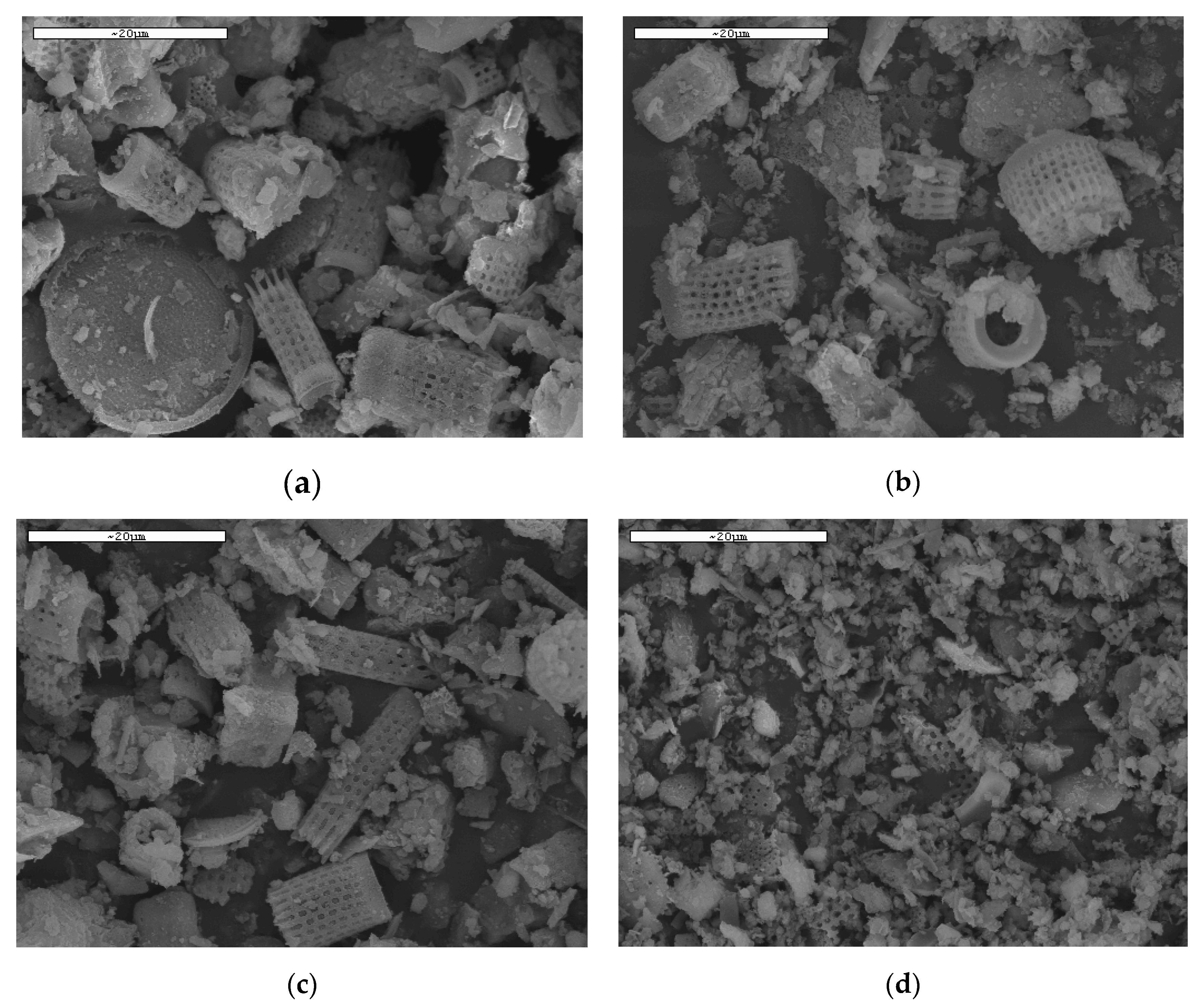 Applsci 10 06441 g002