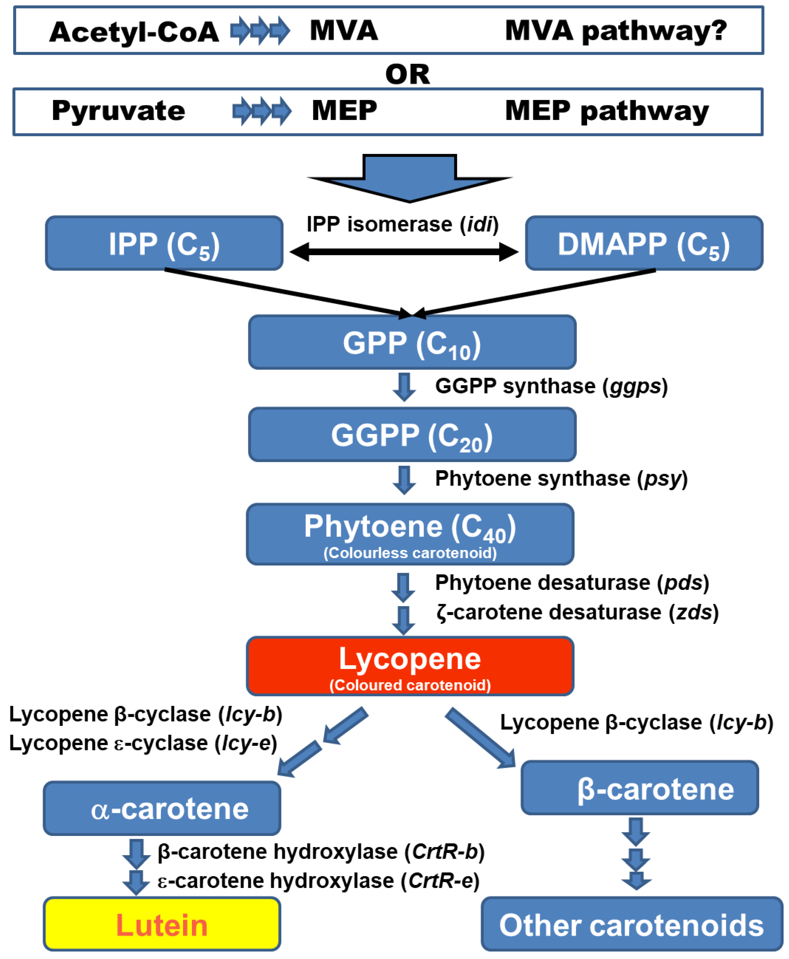 Applsci 10 06457 g002