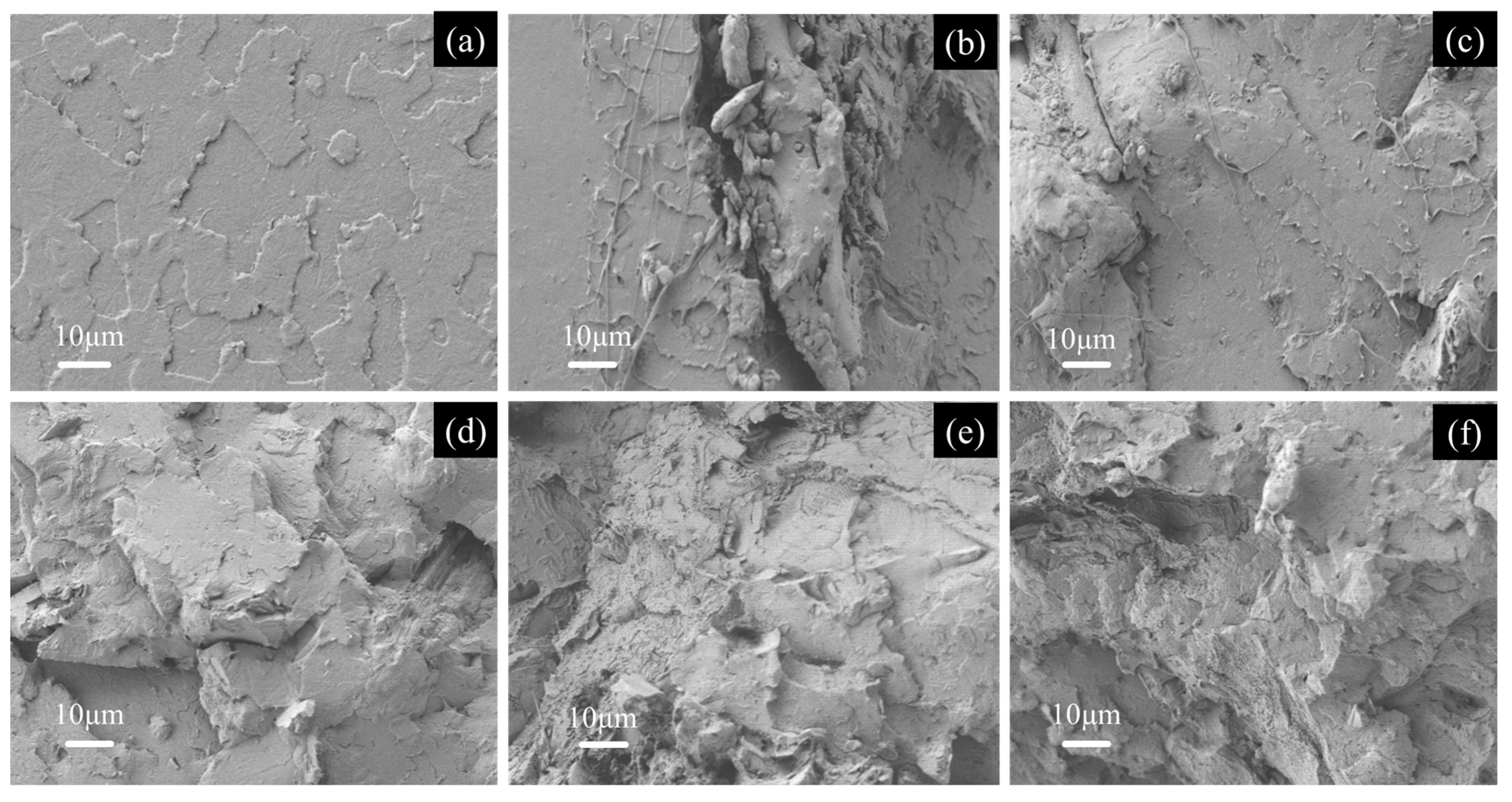 Applsci 10 06468 g004