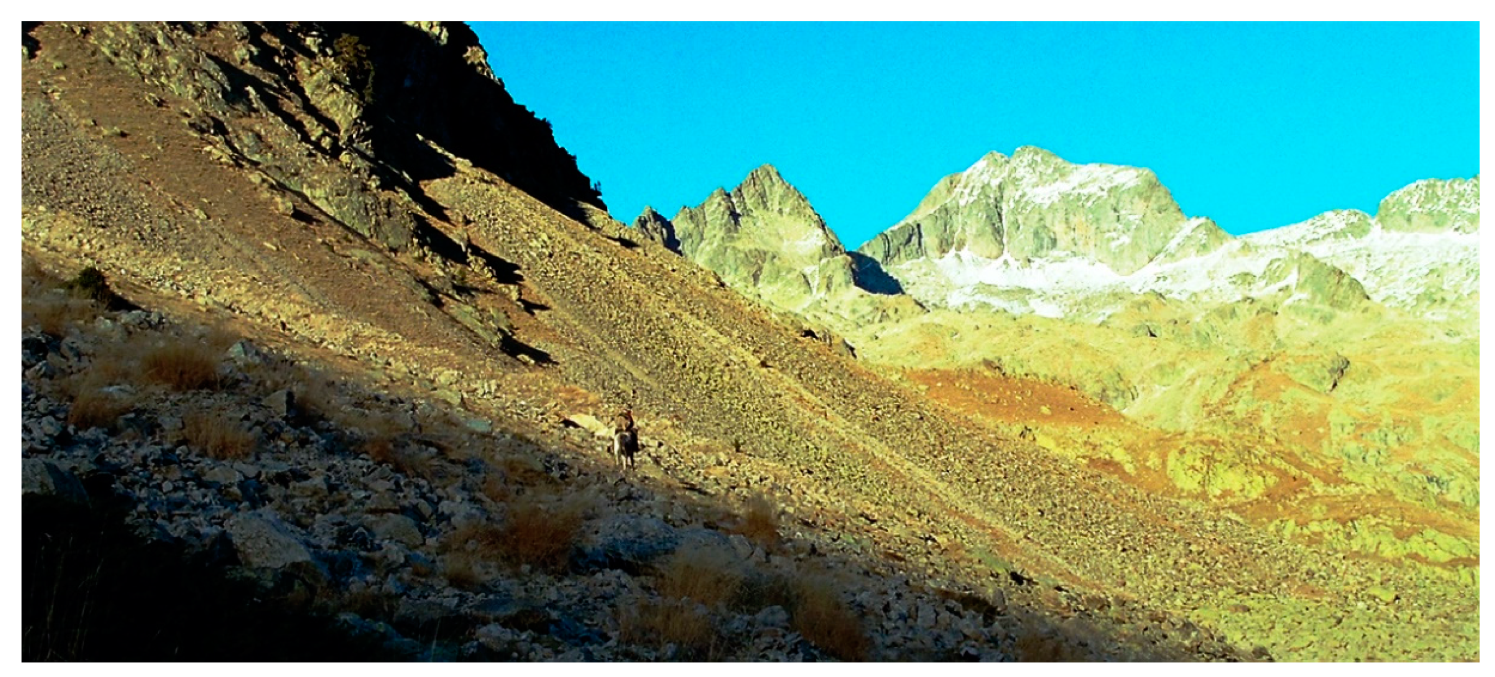 Applsci 10 06488 g001