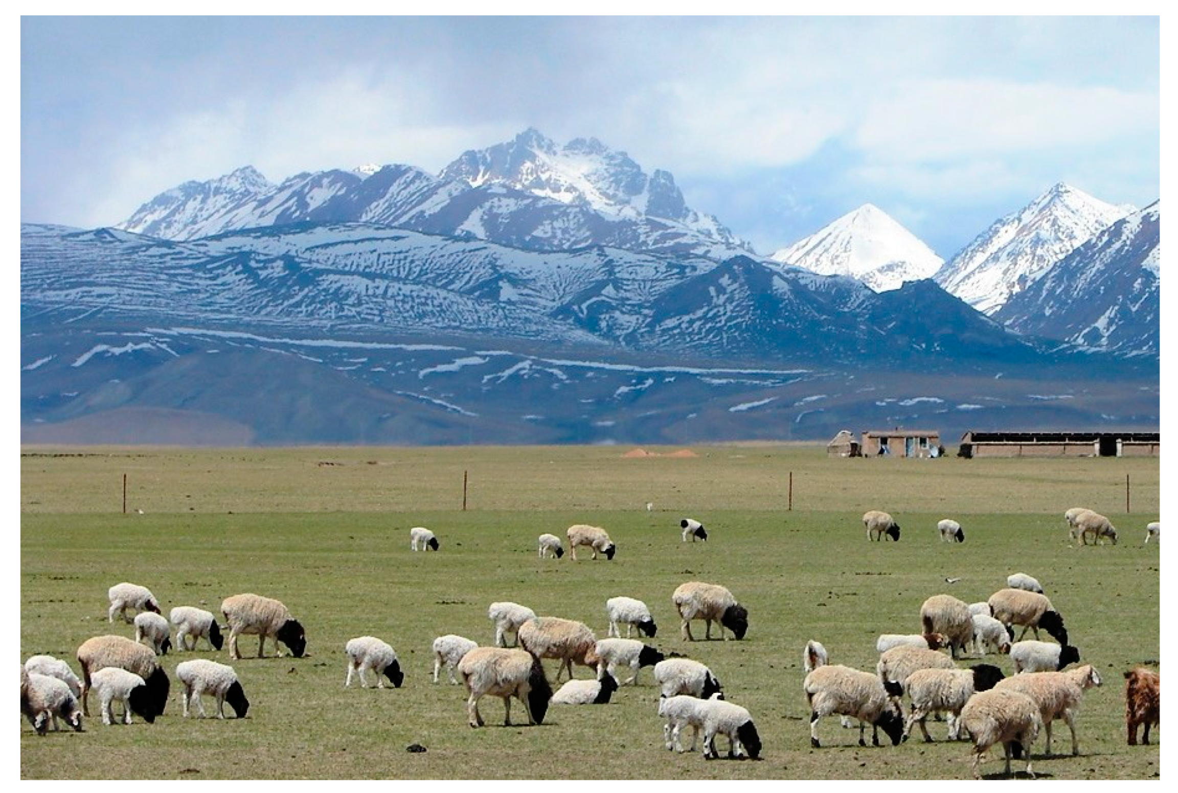 Applsci 10 06488 g004