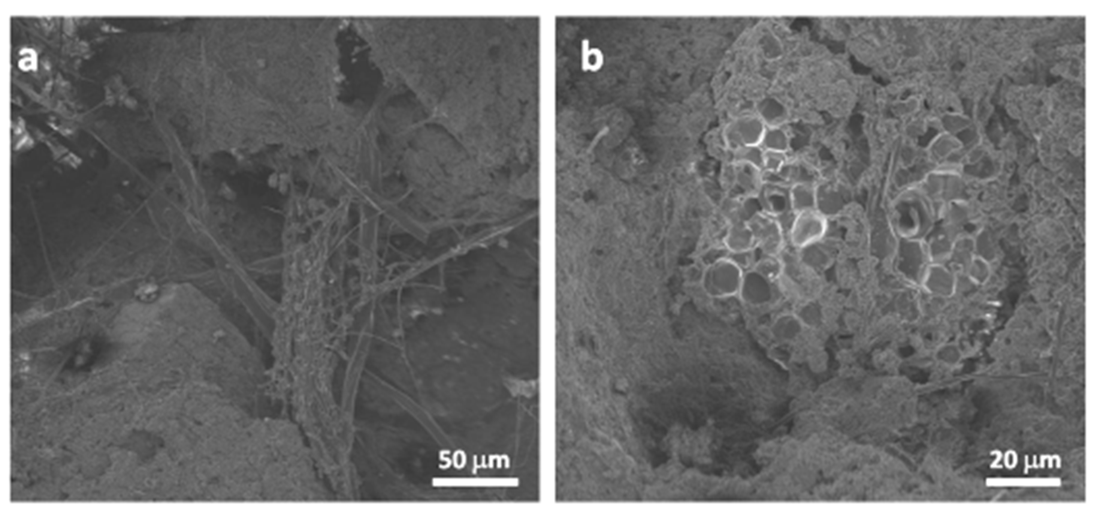 Applsci 10 06491 g009