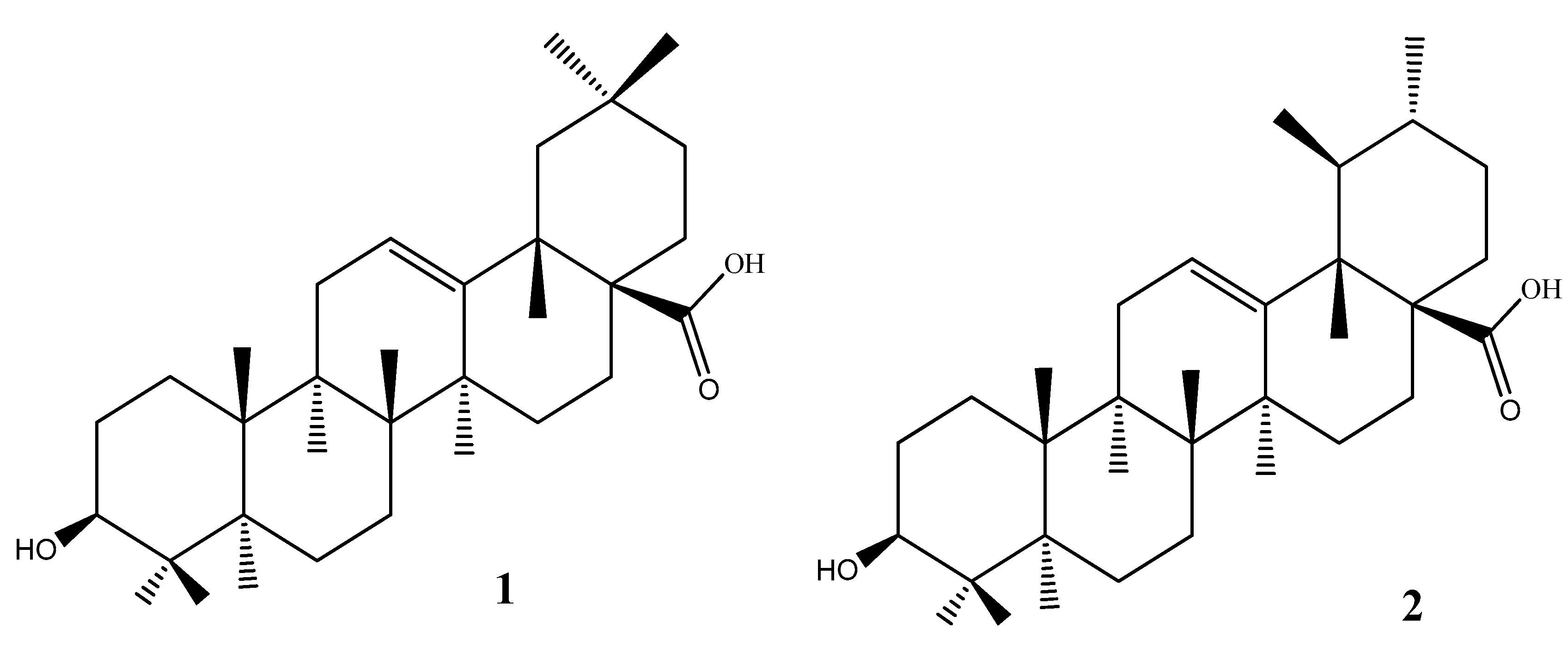 Applsci 10 06505 g001 Applsci 10 06505 g001