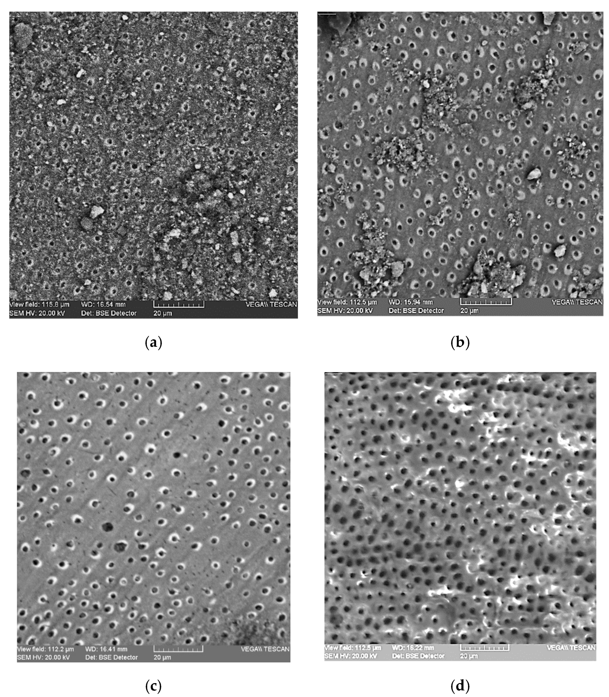 Applsci 10 06513 g001