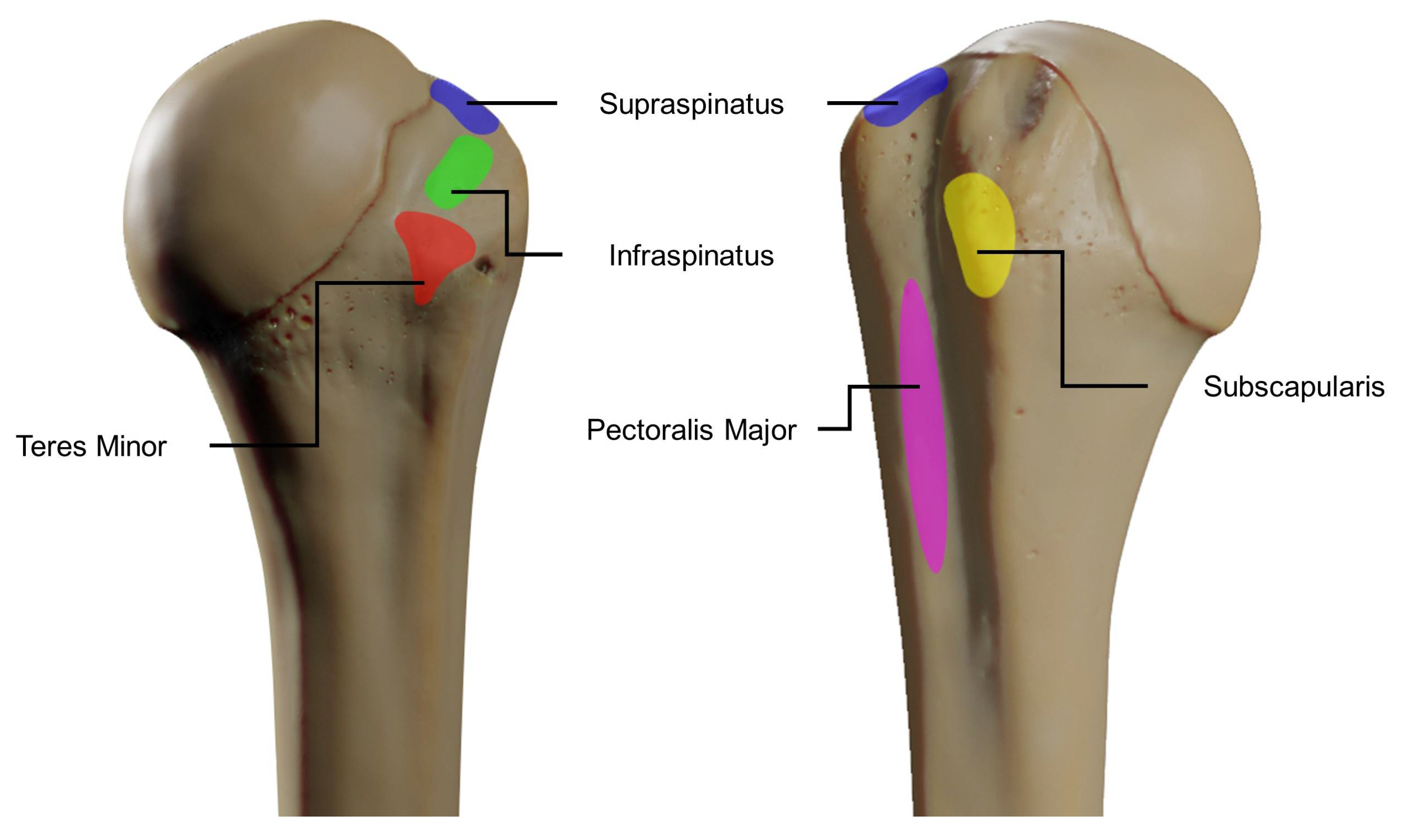 Applsci 10 06514 g002 Applsci 10 06514 g002