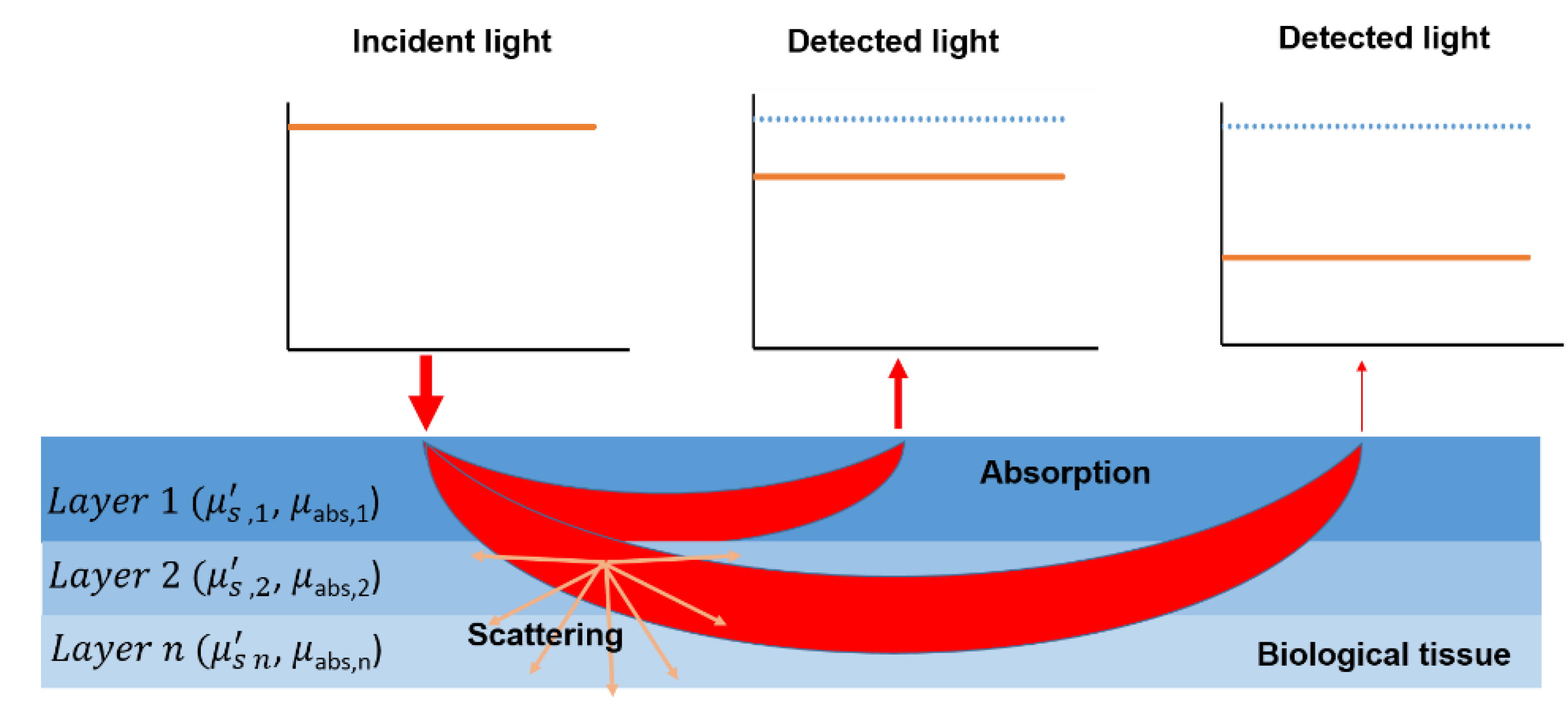 Applsci 10 06522 g005