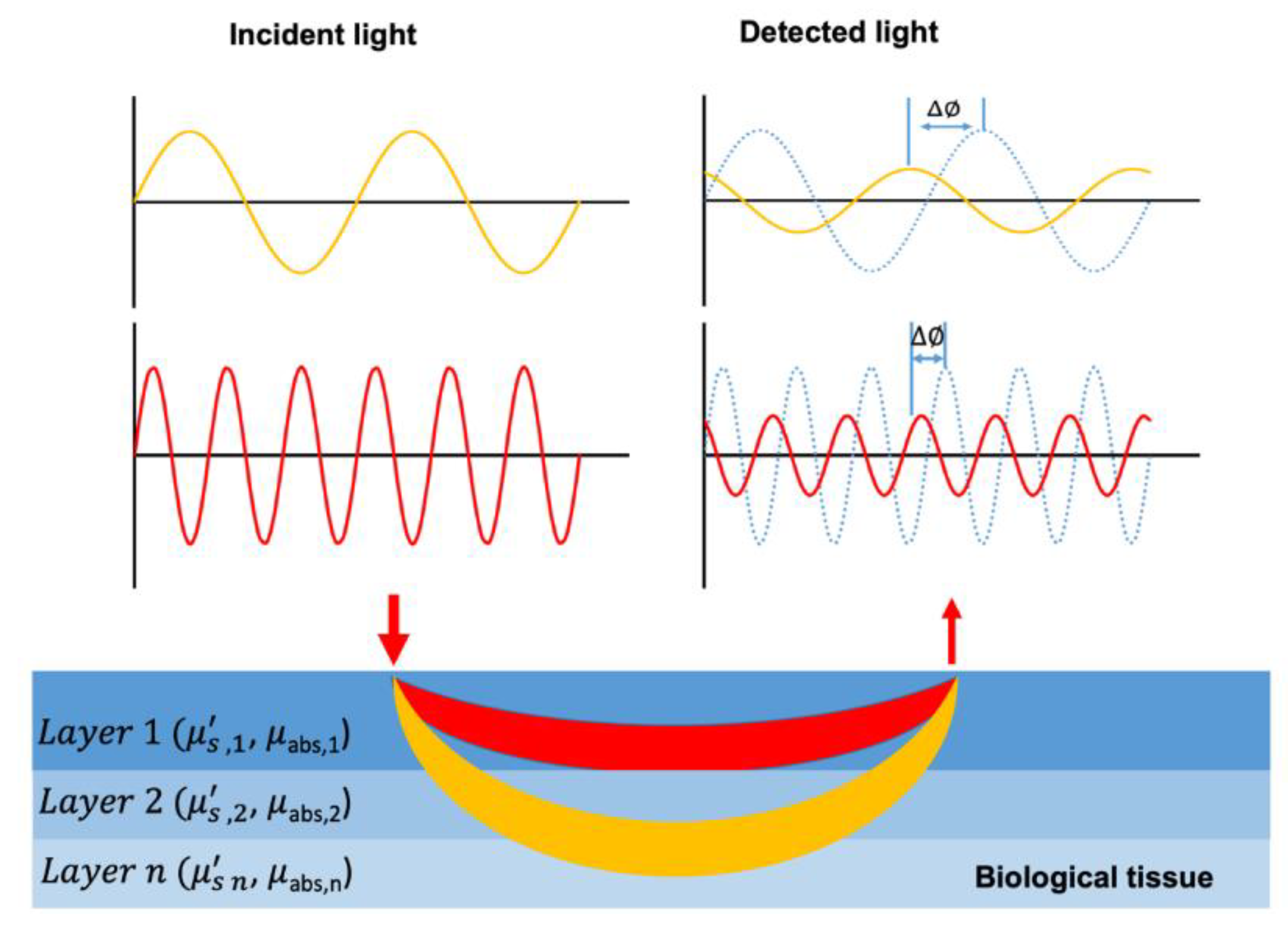 Applsci 10 06522 g012