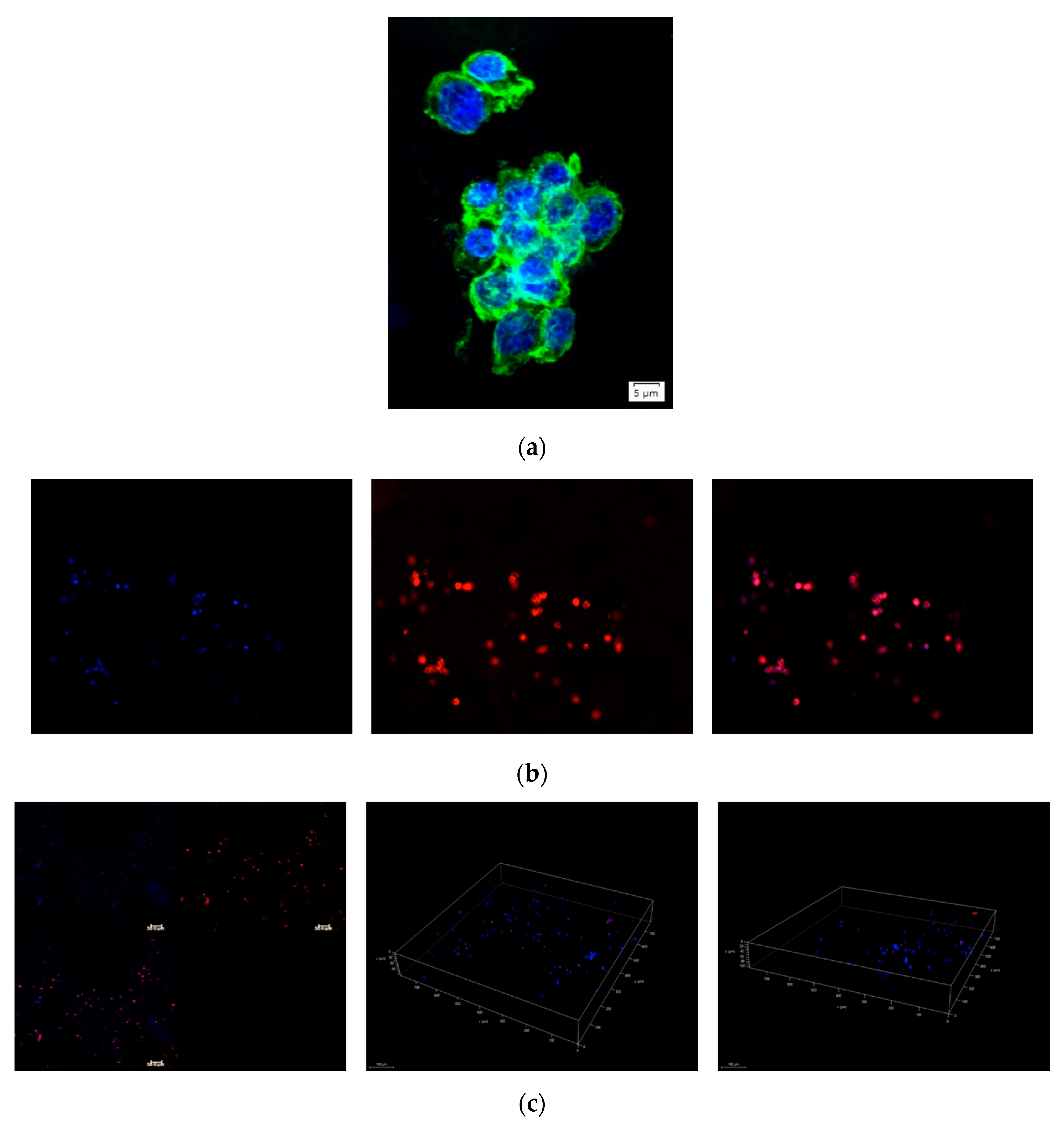 Applsci 10 06550 g006