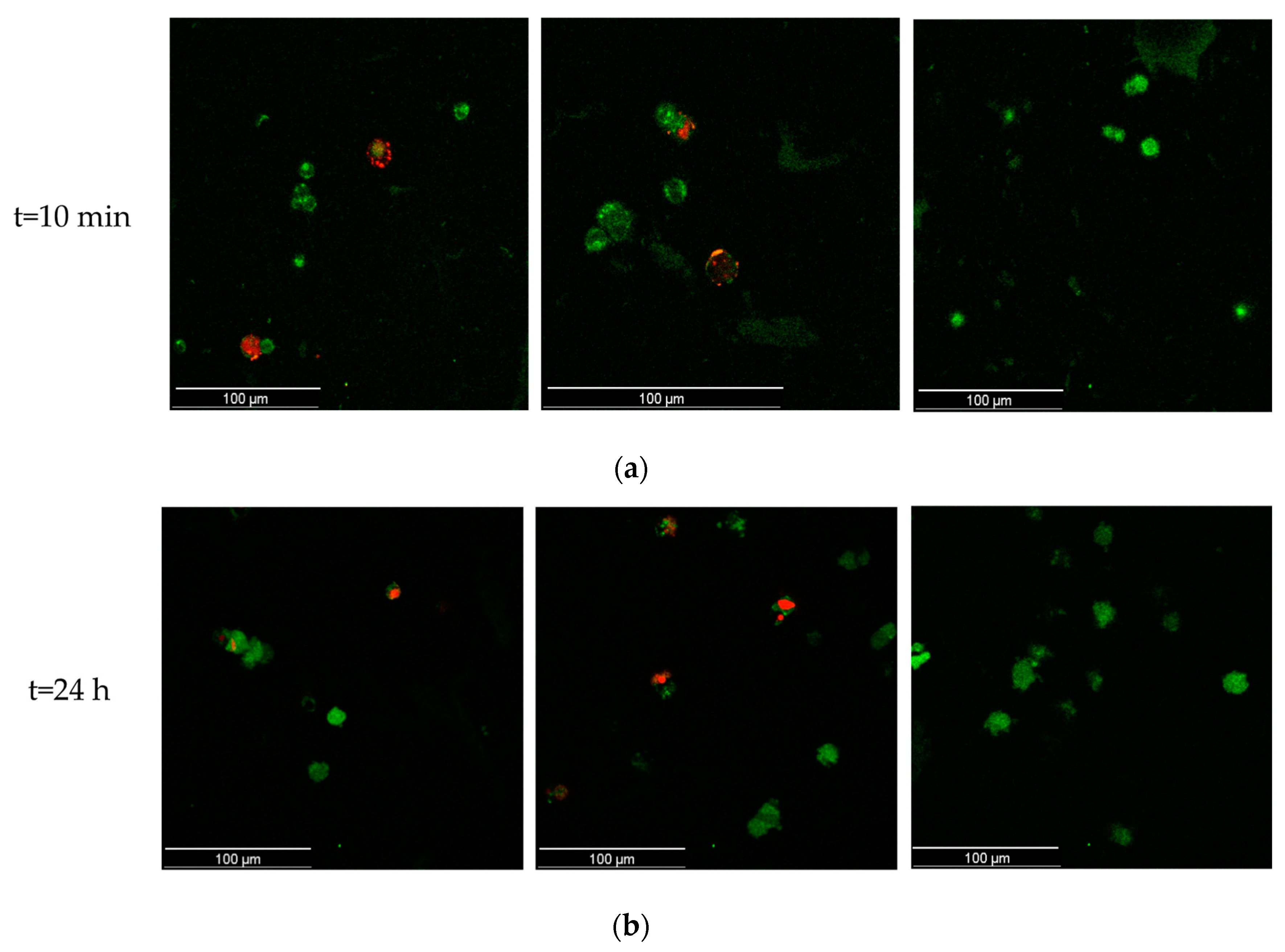 Applsci 10 06550 g007