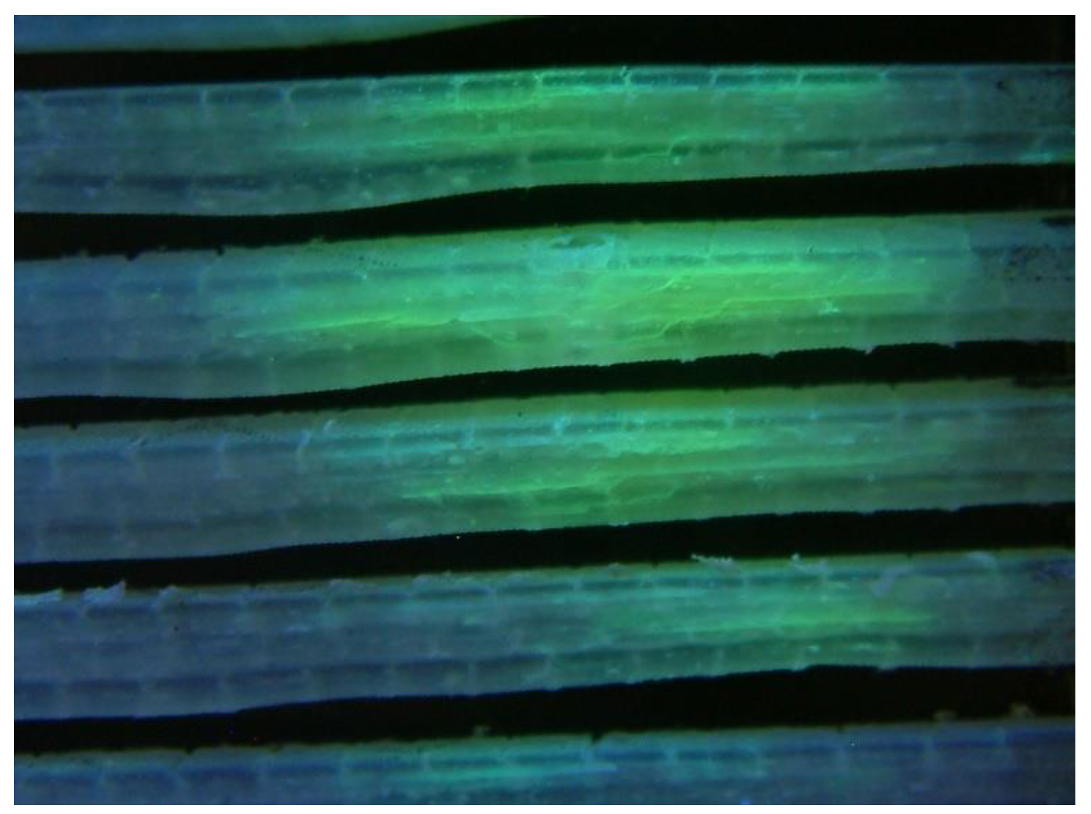 Applsci 10 06557 g013 Applsci 10 06557 g013