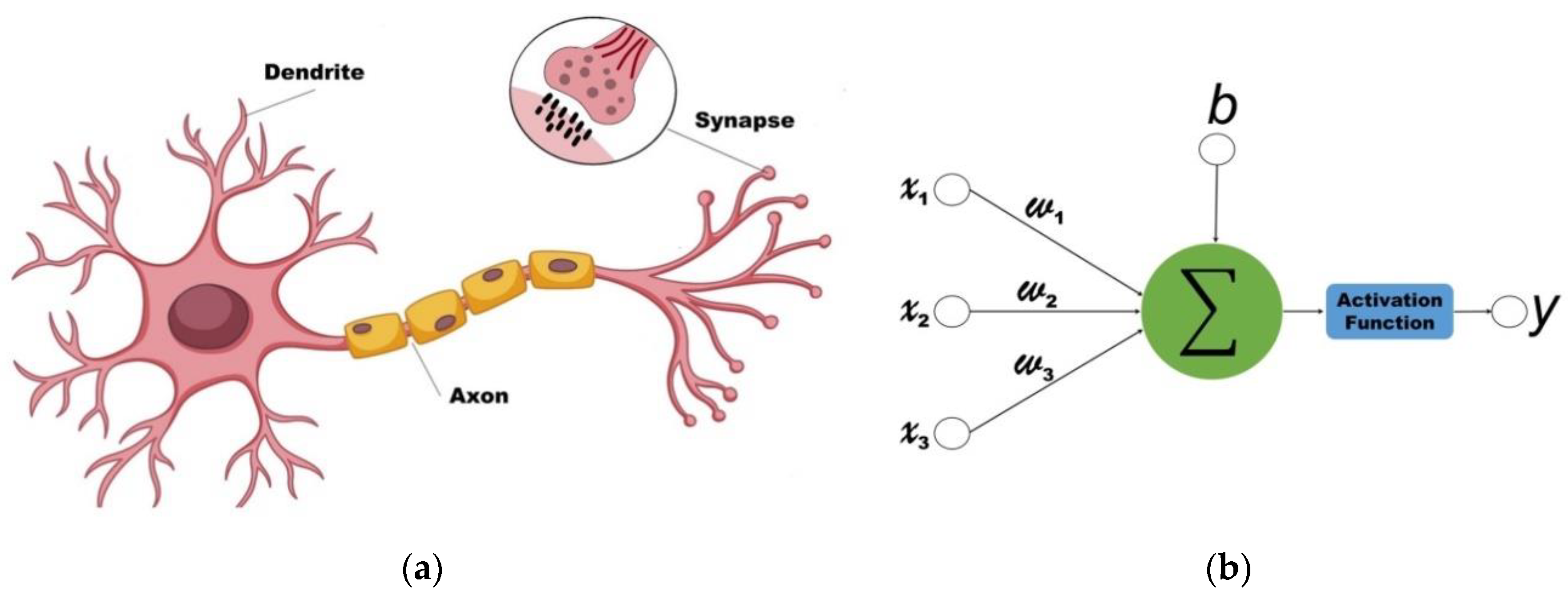 Applsci 10 06564 g004