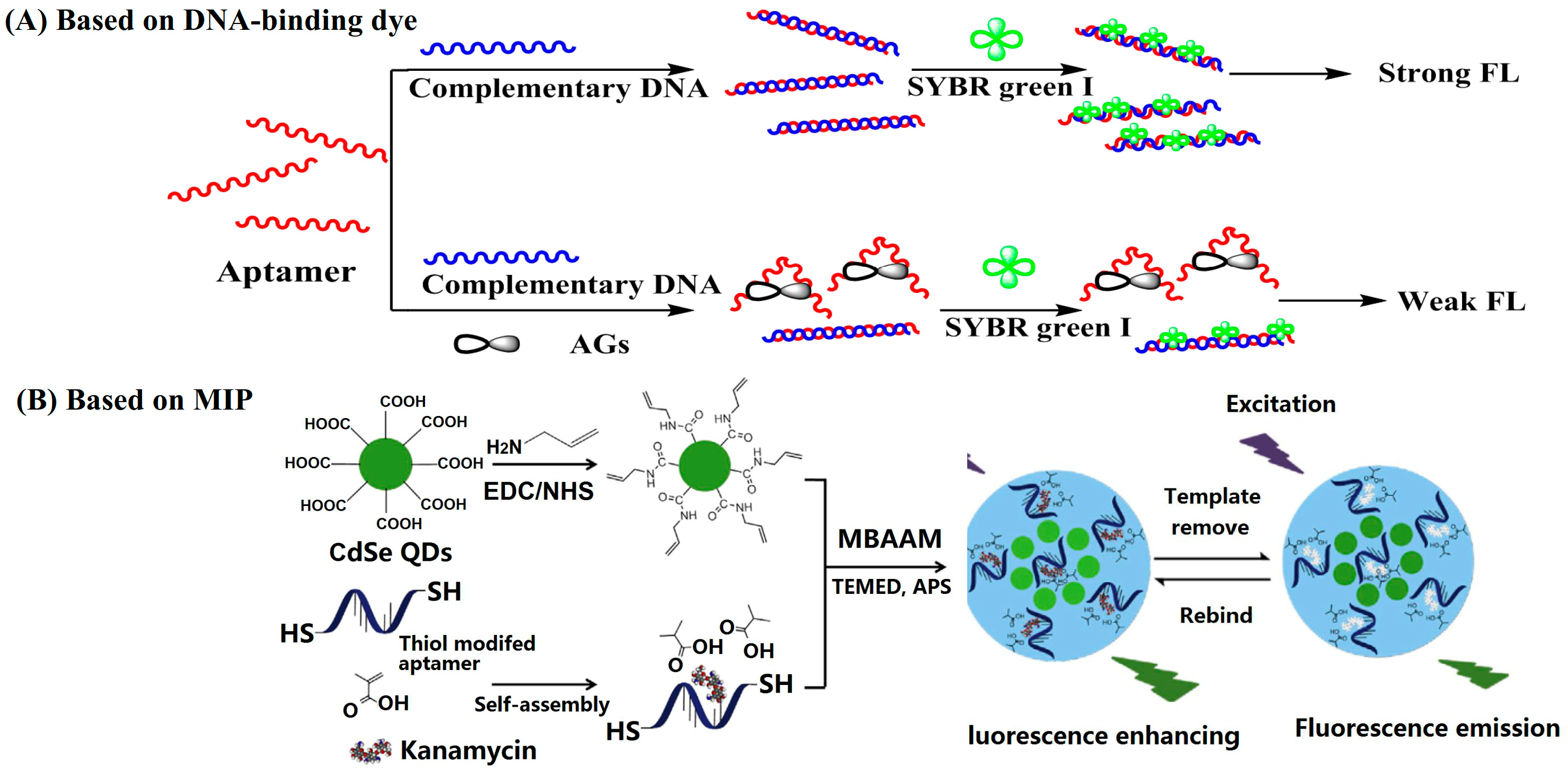 Applsci 10 06579 g003 Applsci 10 06579 g003
