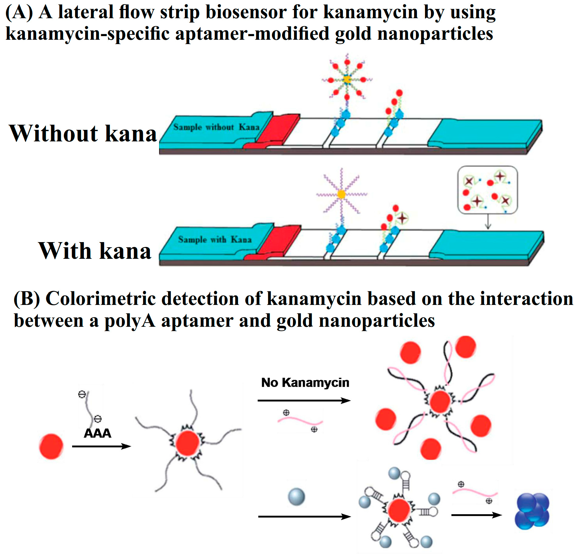 Applsci 10 06579 g005 Applsci 10 06579 g005